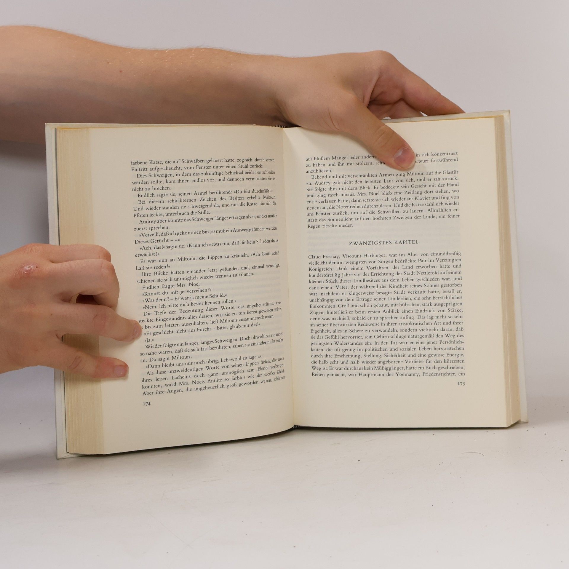 John Galsworthy Der Patrizier