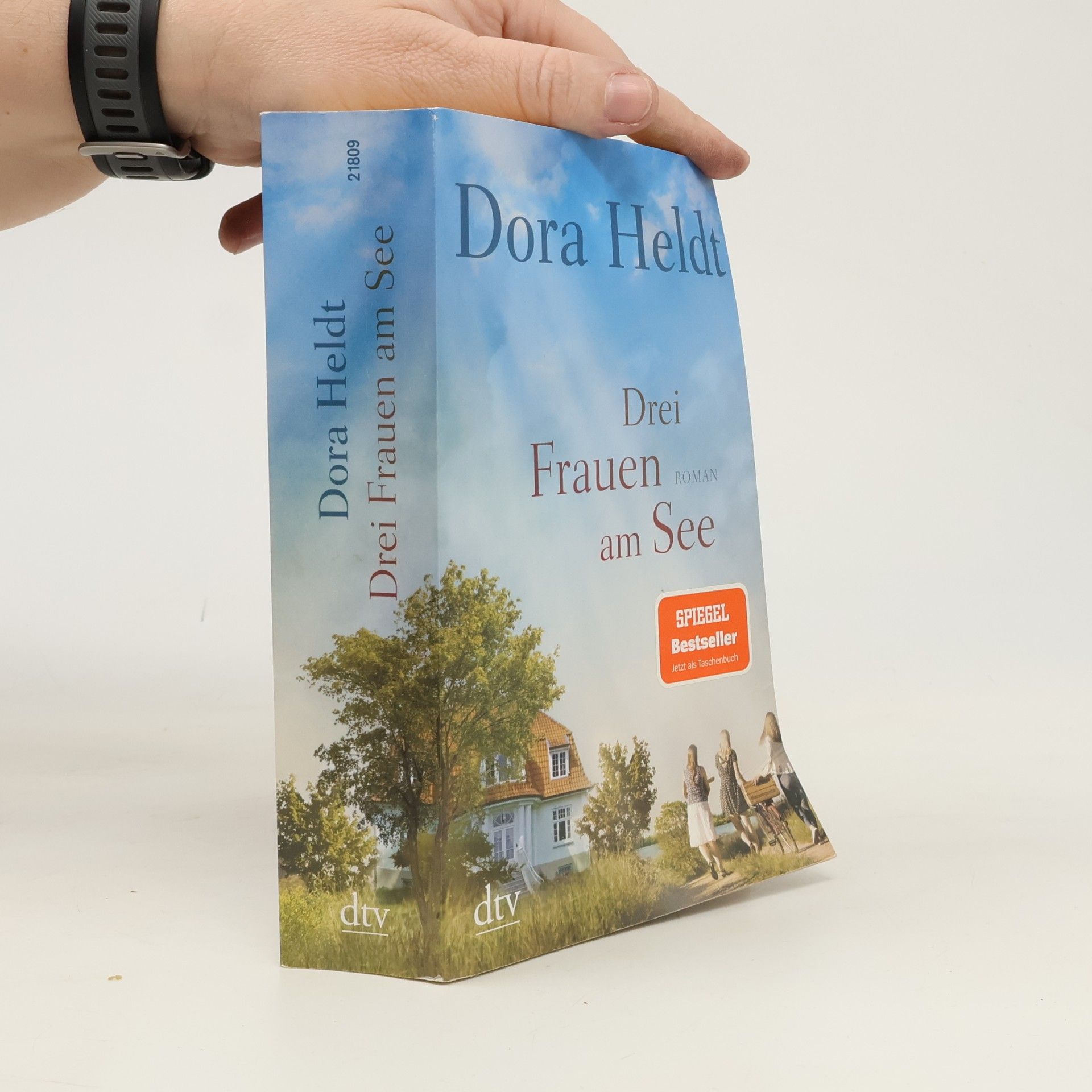 Dora Heldt Drei Frauen am See
