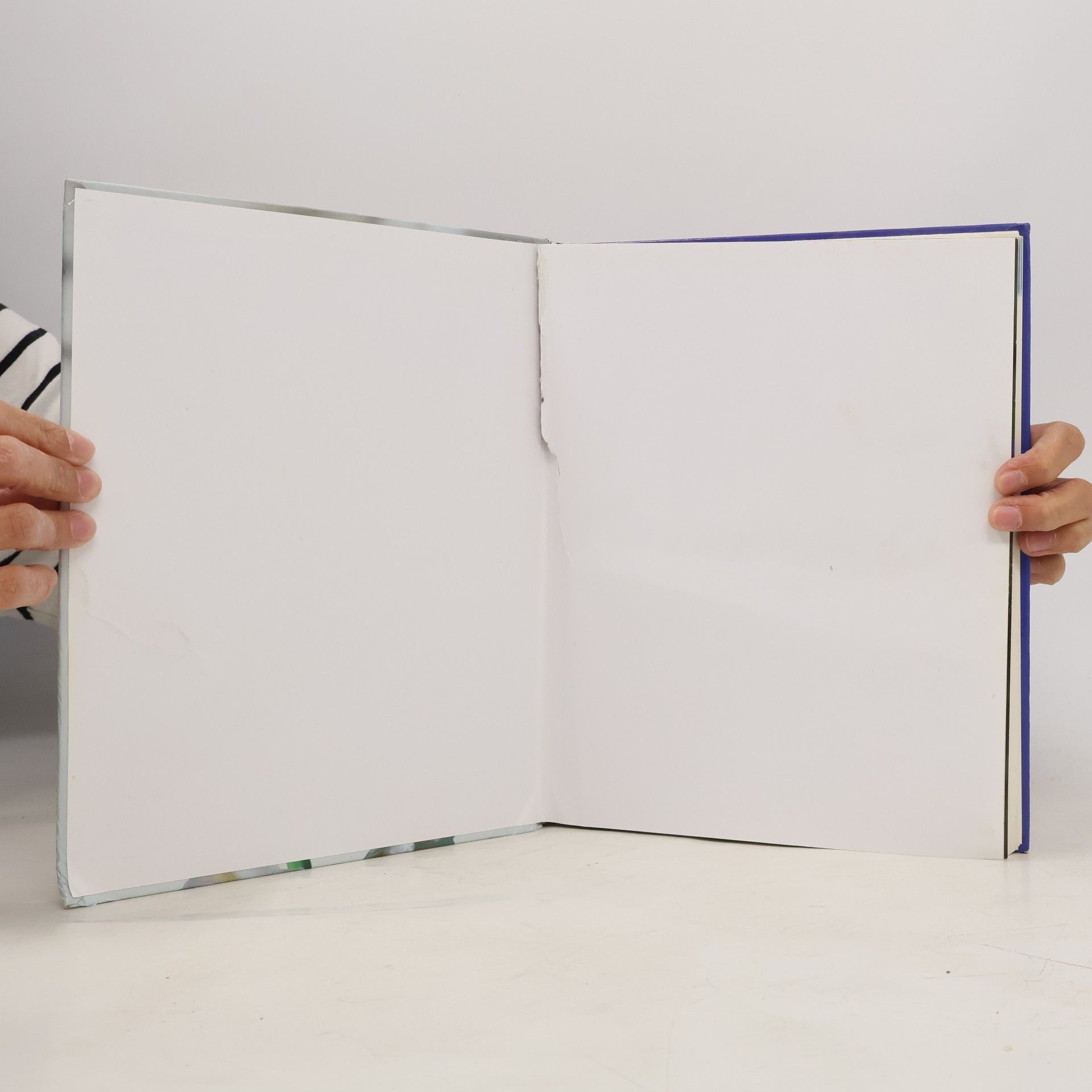 Autores varios Zahradní květiny