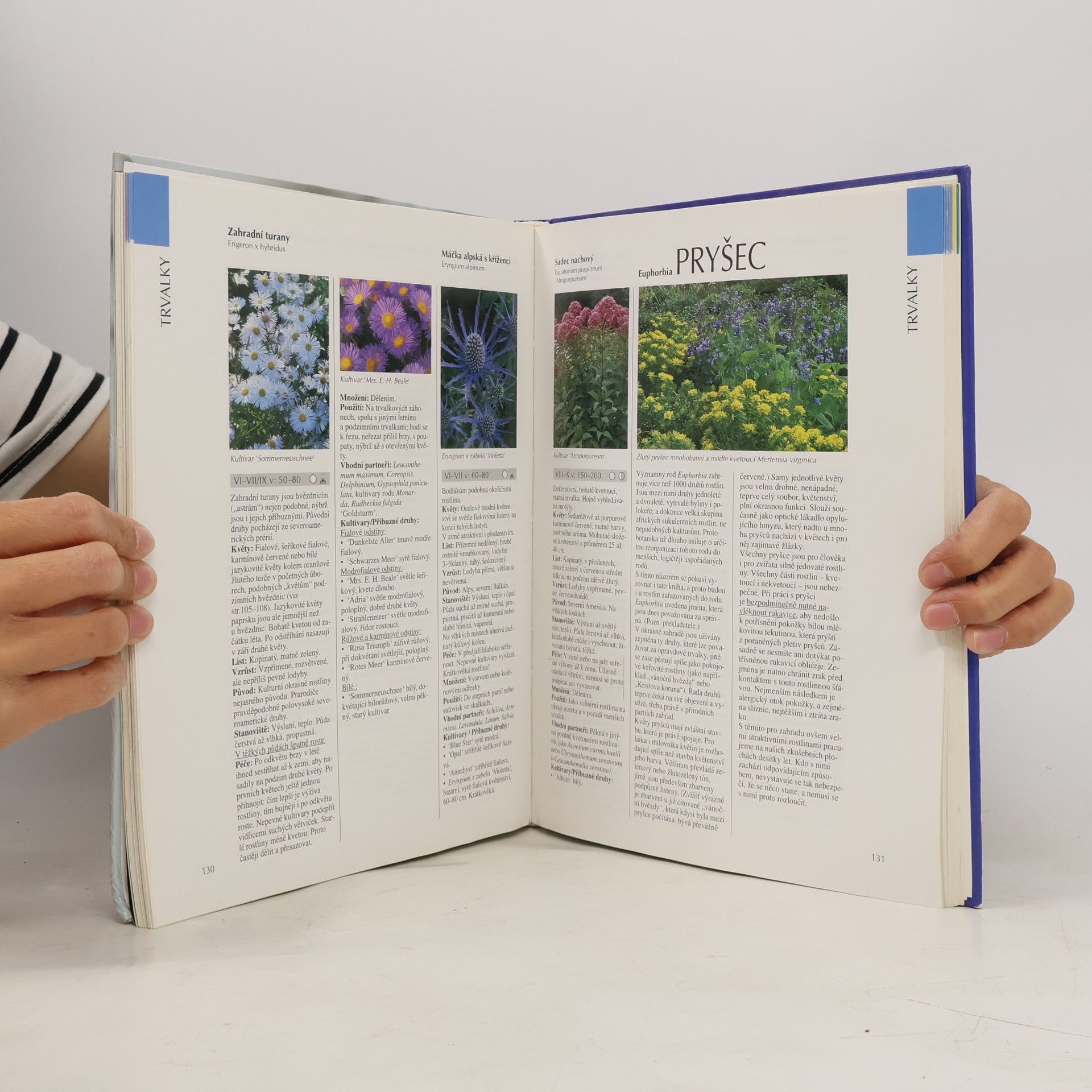 Autores varios Zahradní květiny