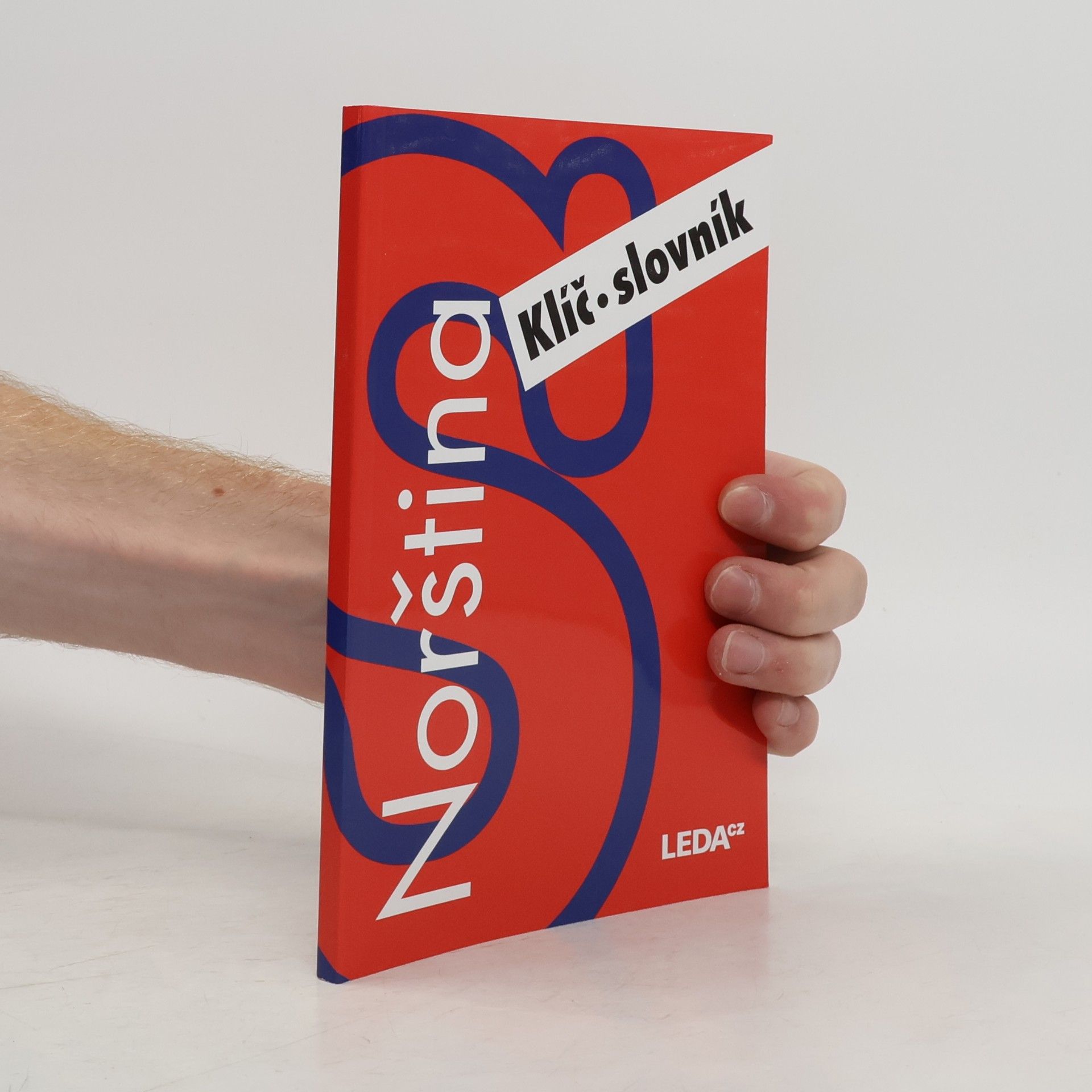Autorenkollektiv Norština nejen pro samouky