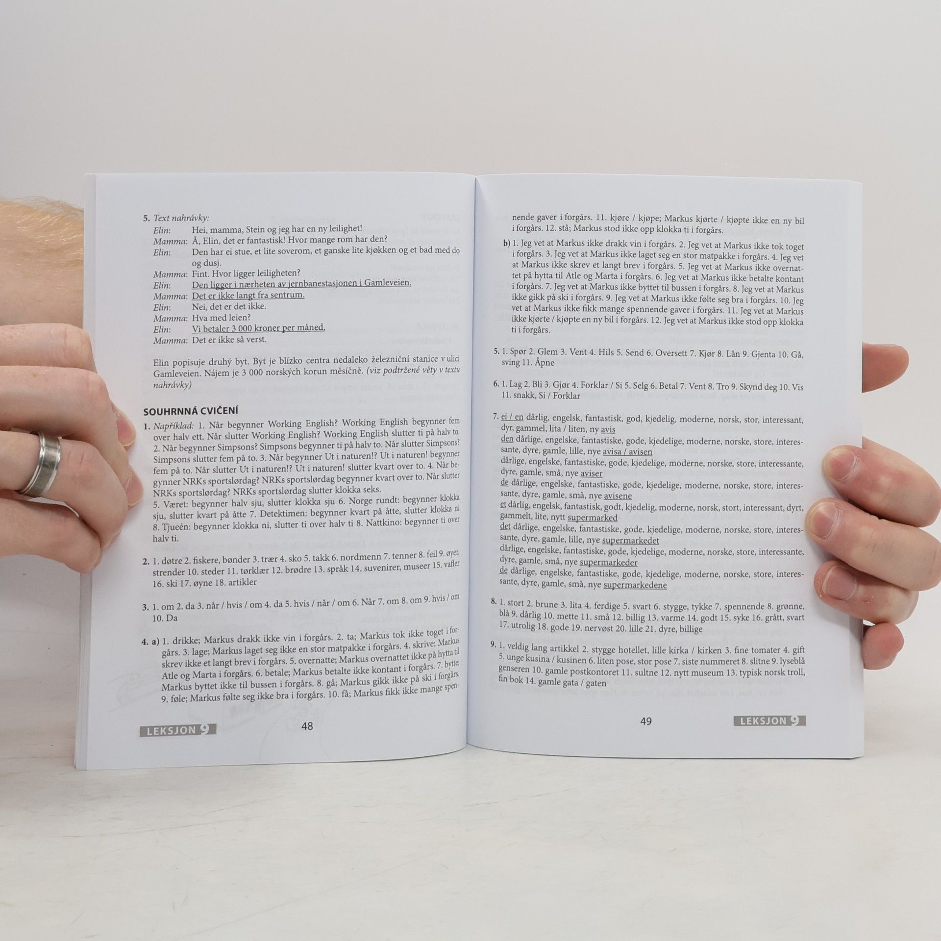 Collectif d'auteurs Norština nejen pro samouky