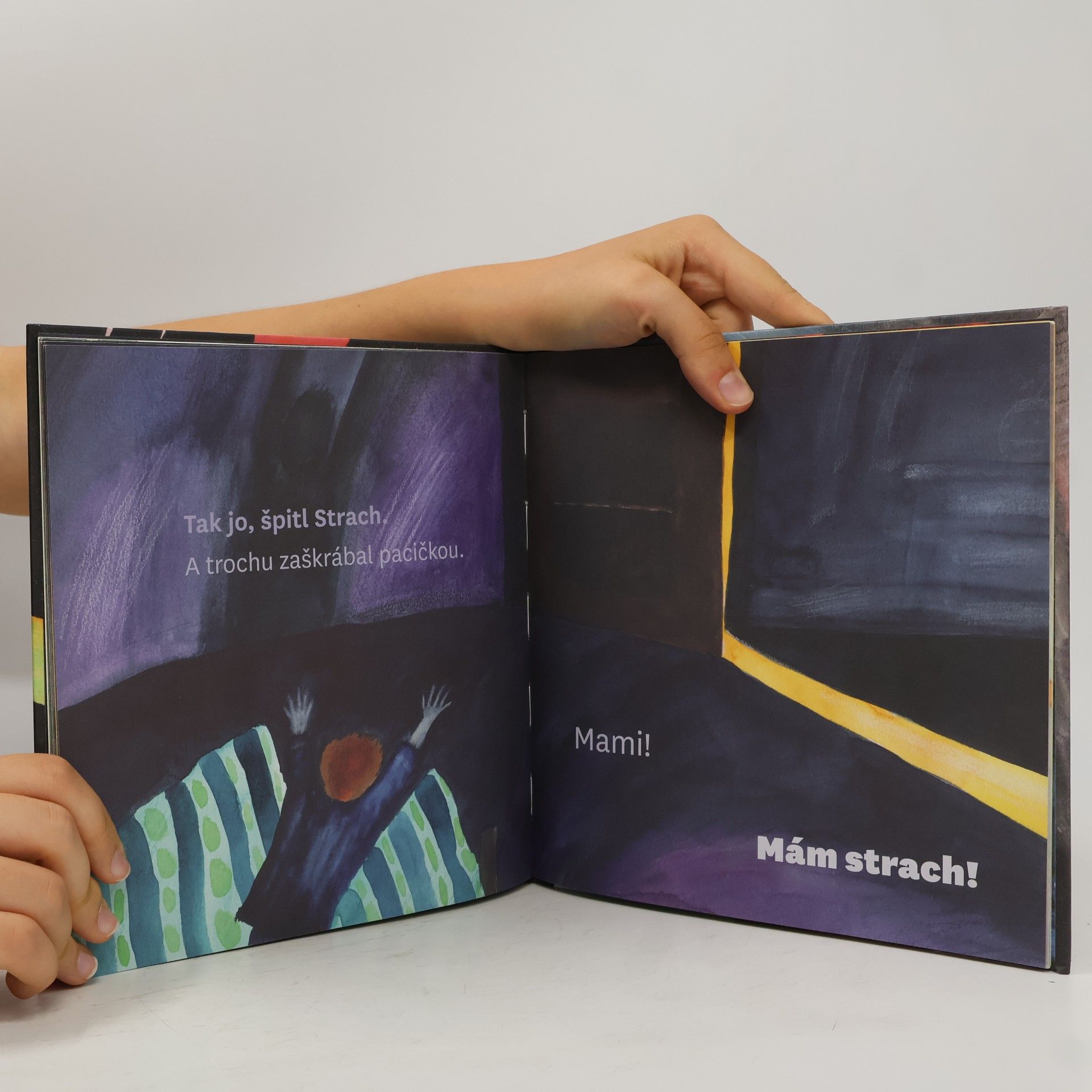 Martina Špinková Divný brach strach