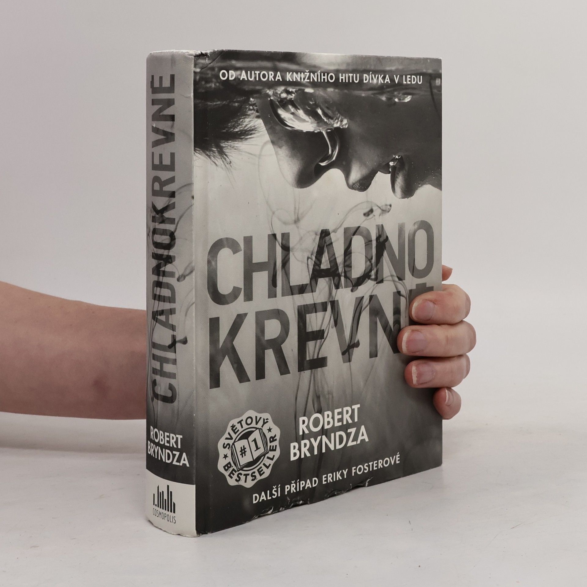 Robert Bryndza Chladnokrevně