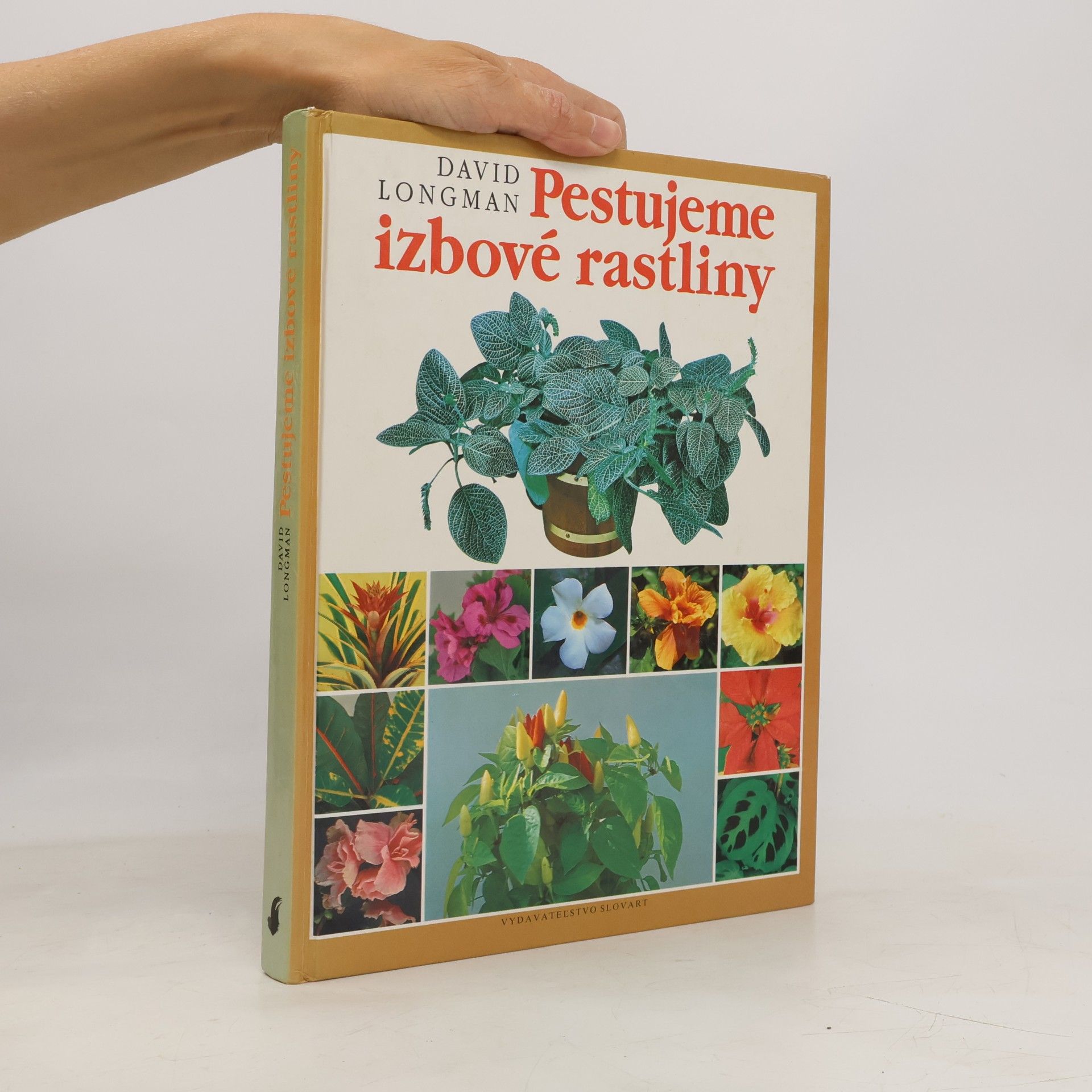 David Longman Pestujeme izbové rastliny