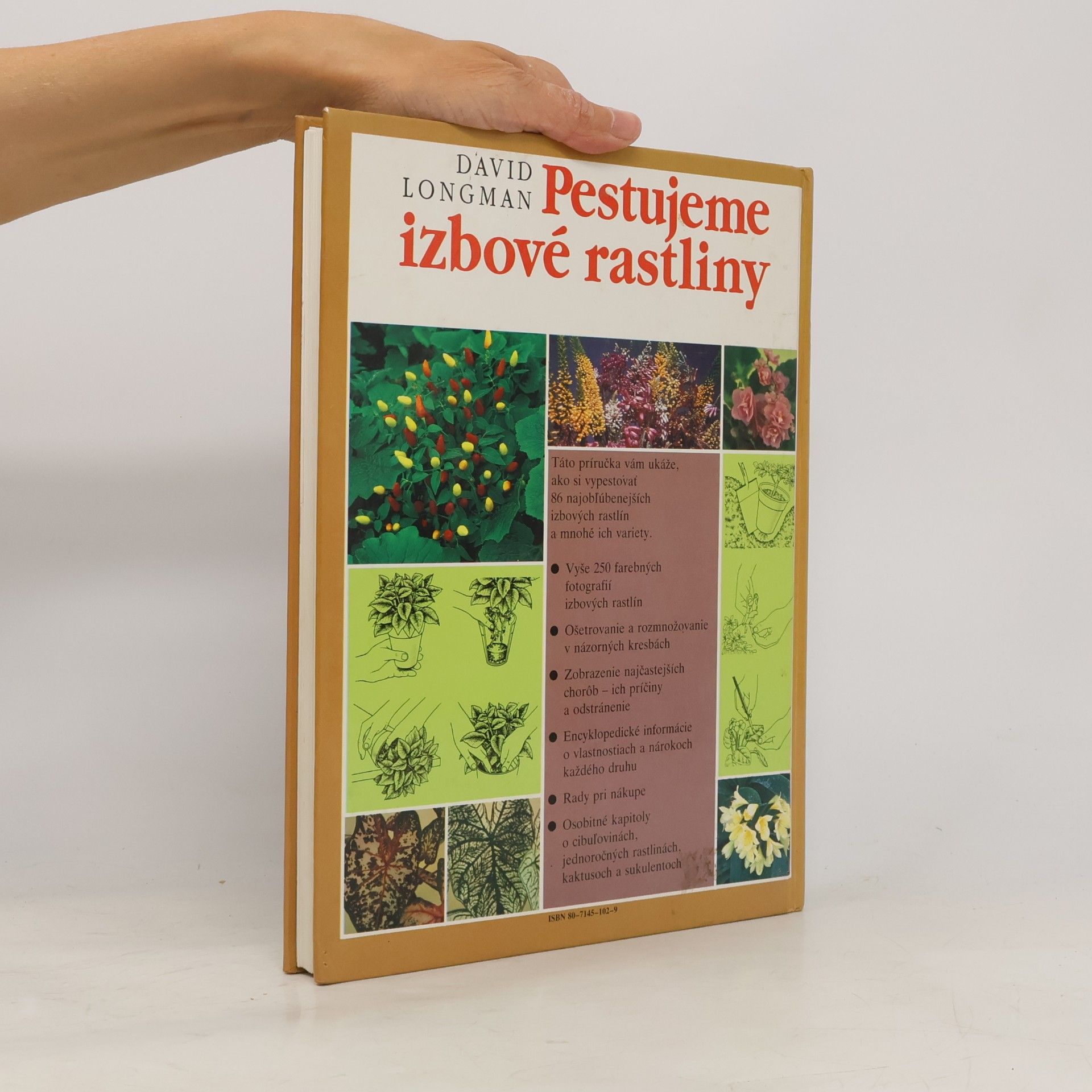 David Longman Pestujeme izbové rastliny