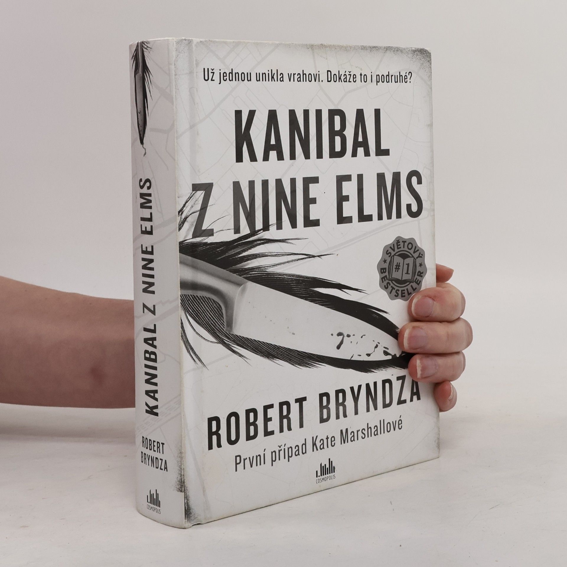 Robert Bryndza Kanibal z Nine Elms