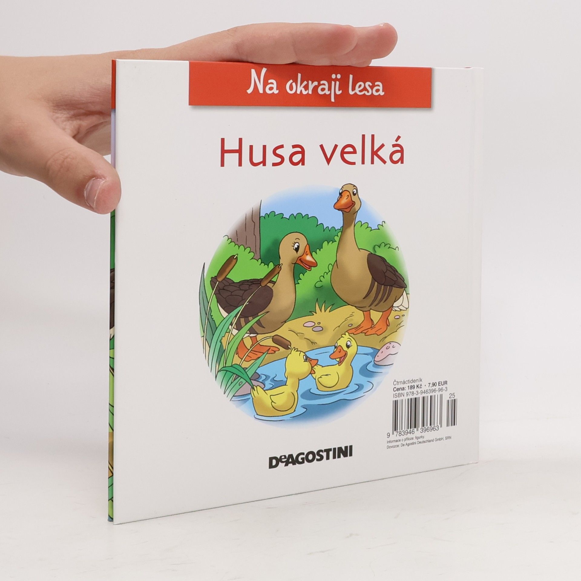 Collectif d'auteurs Na okraji lesa 48. Husa velká