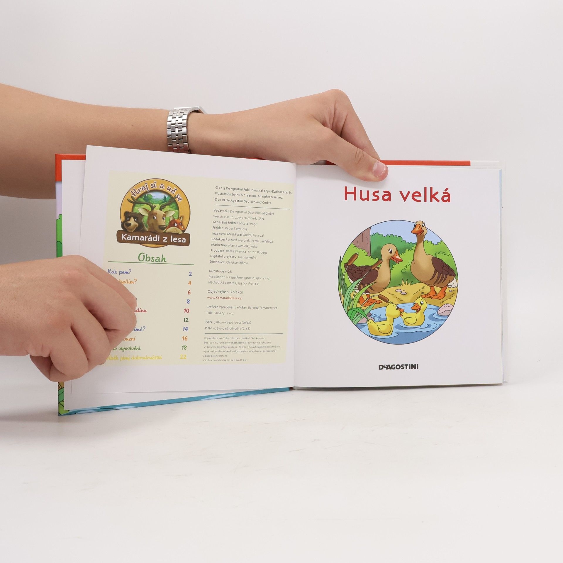 Collectif d'auteurs Na okraji lesa 48. Husa velká