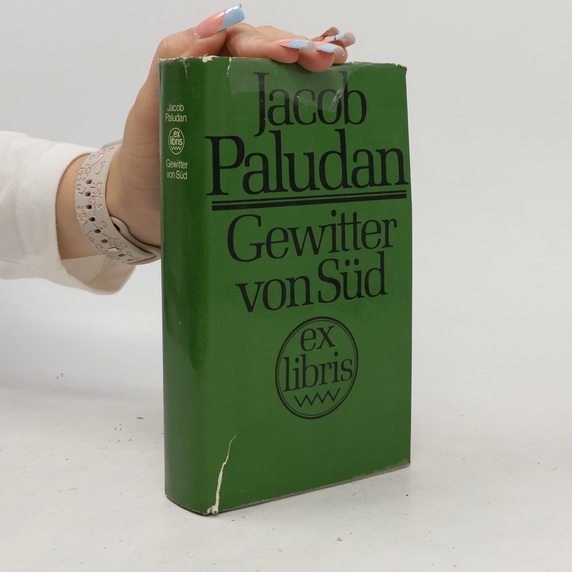 Jacob Paludan Gewitter von Süd