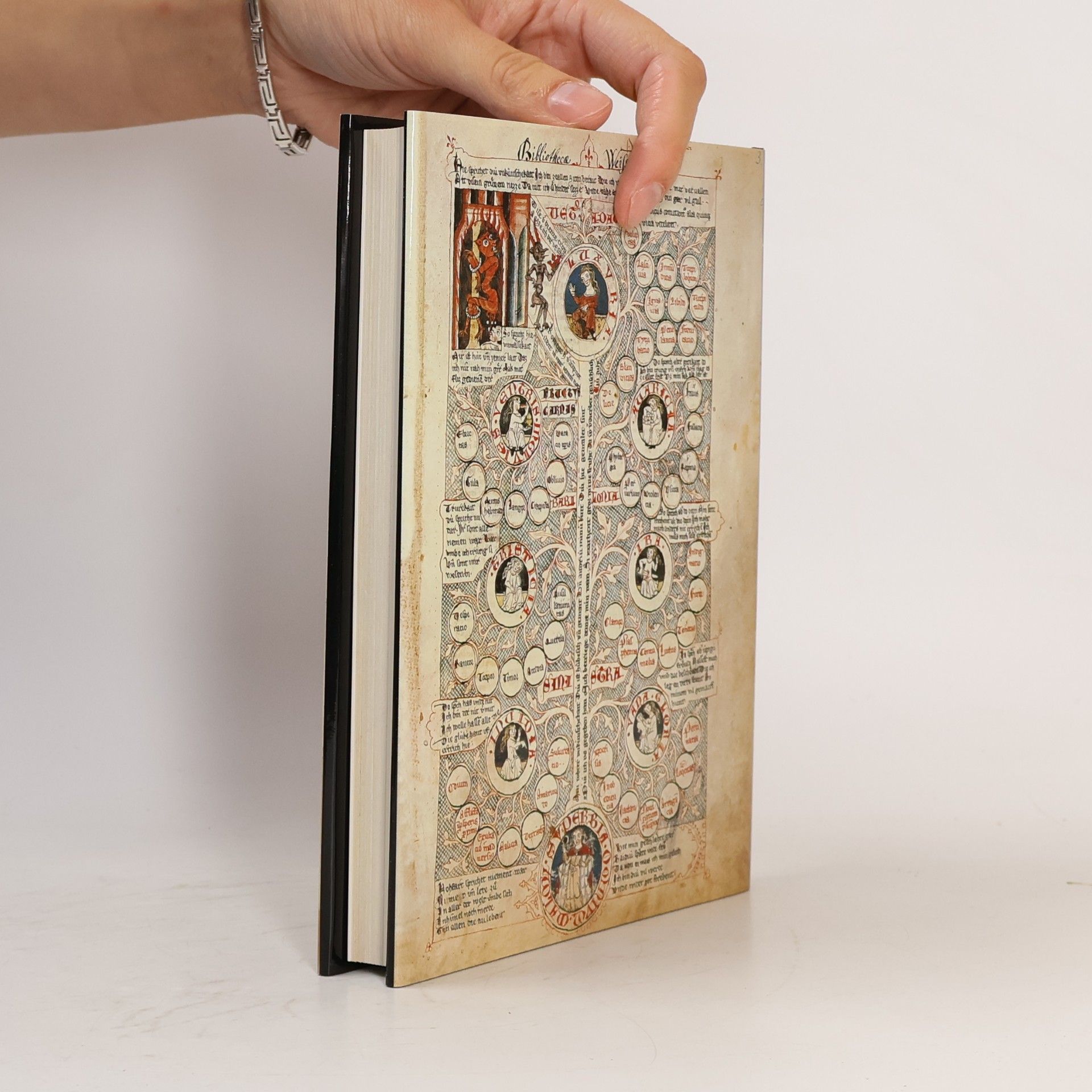 Reiner Haussherr Bible moralisée (reprint)