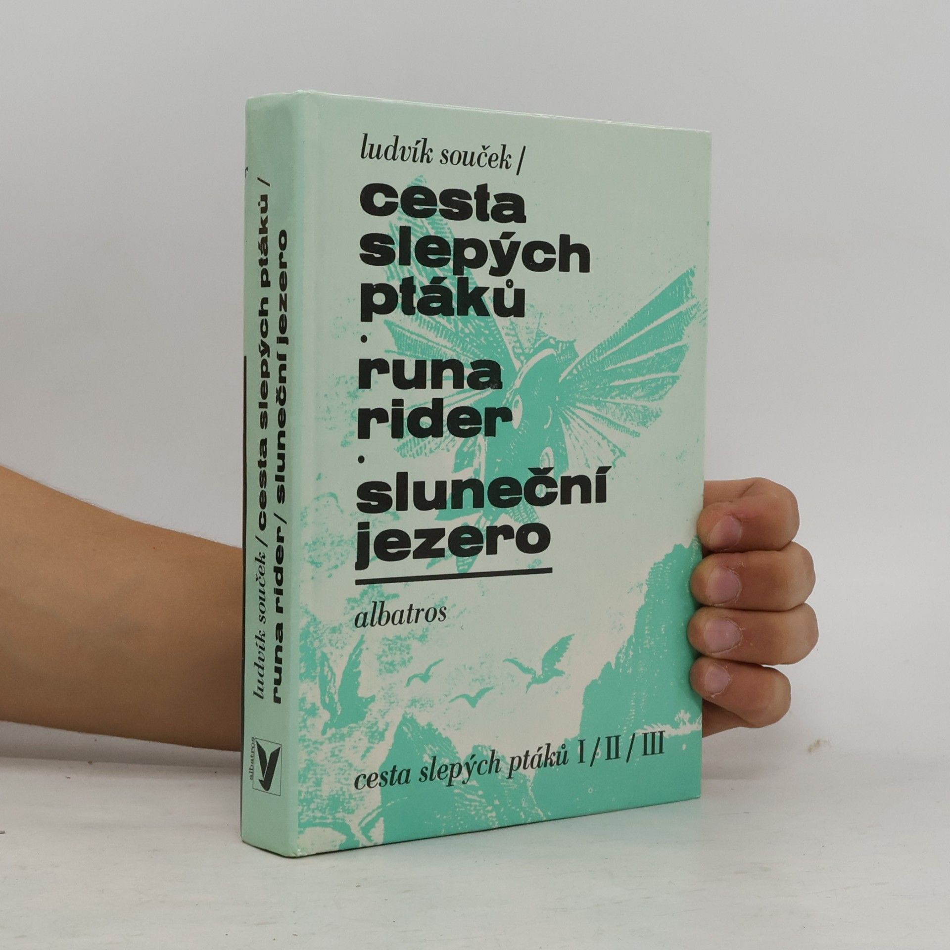 Ludvík Souček Cesta slepých ptáků. Runa rider. Sluneční jezero