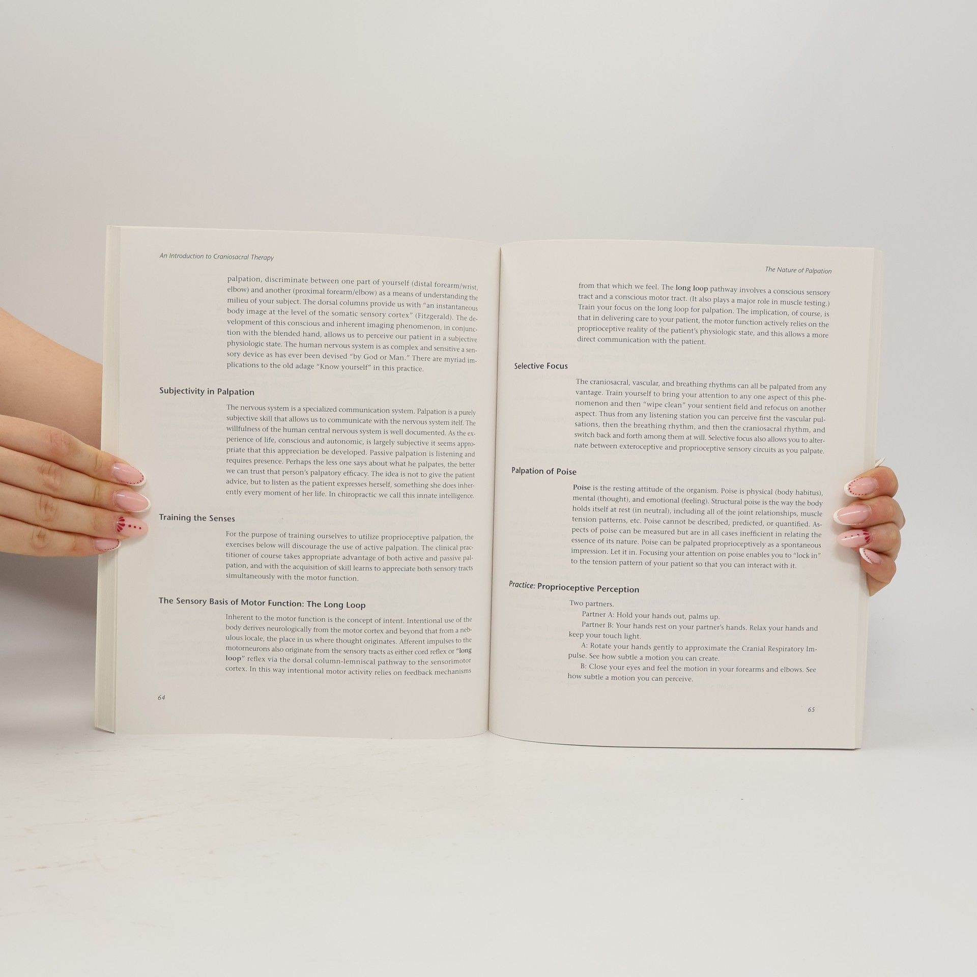 Don Cohen An Introduction to Craniosacral Therapy