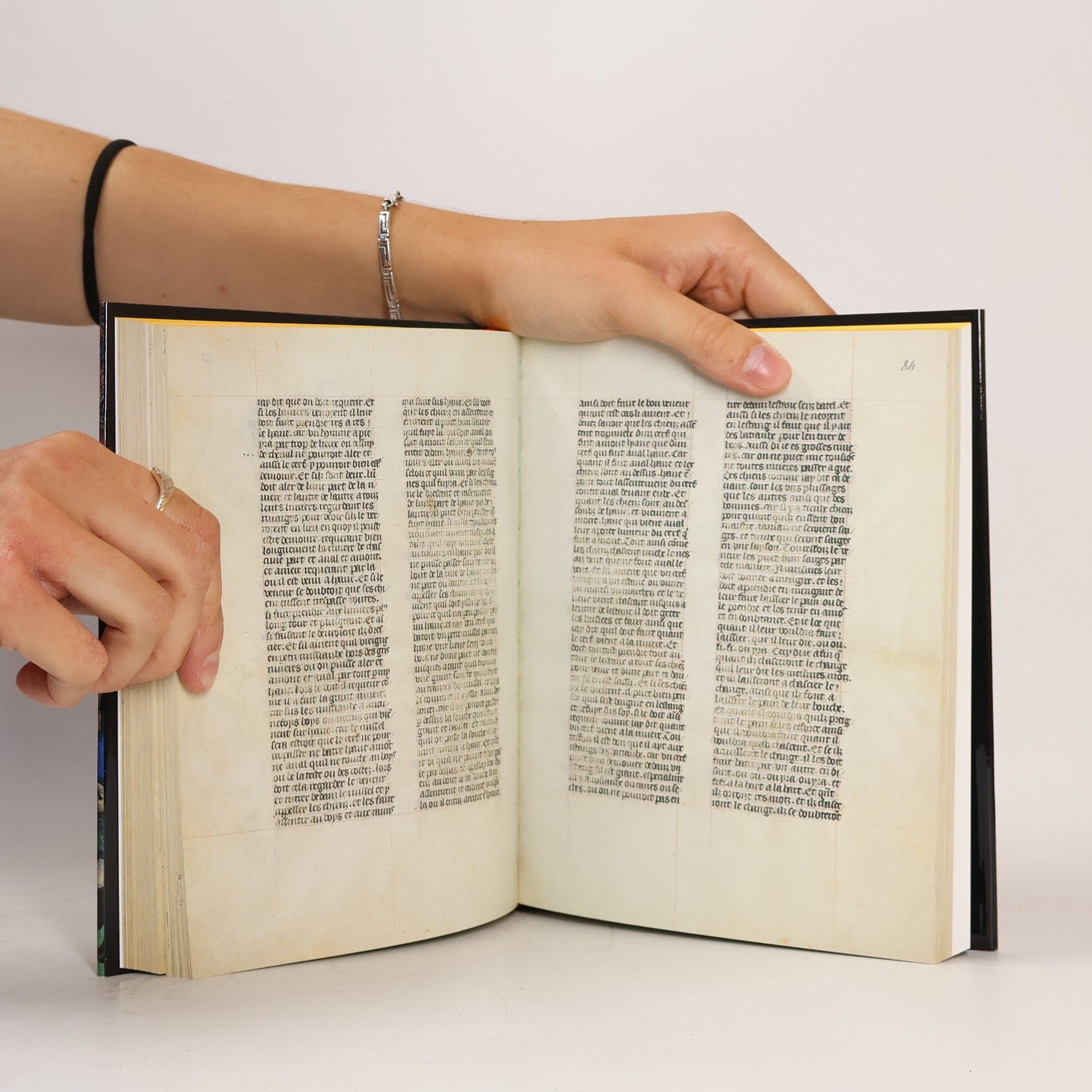 Wilhelm Schlag Das Jagdbuch des Mittelalters (reprint)