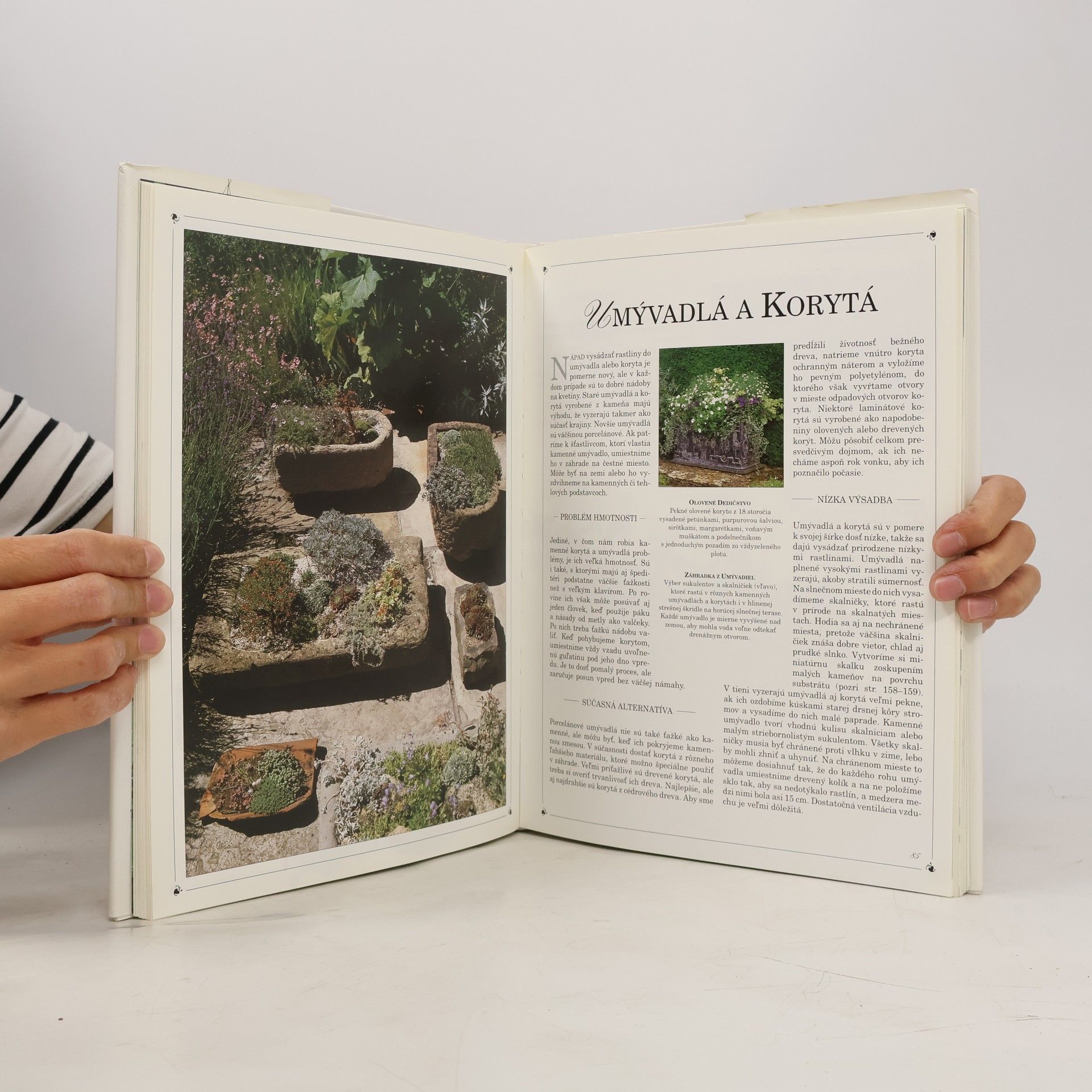 Malcolm Hillier Záhradky v kvetináčoch