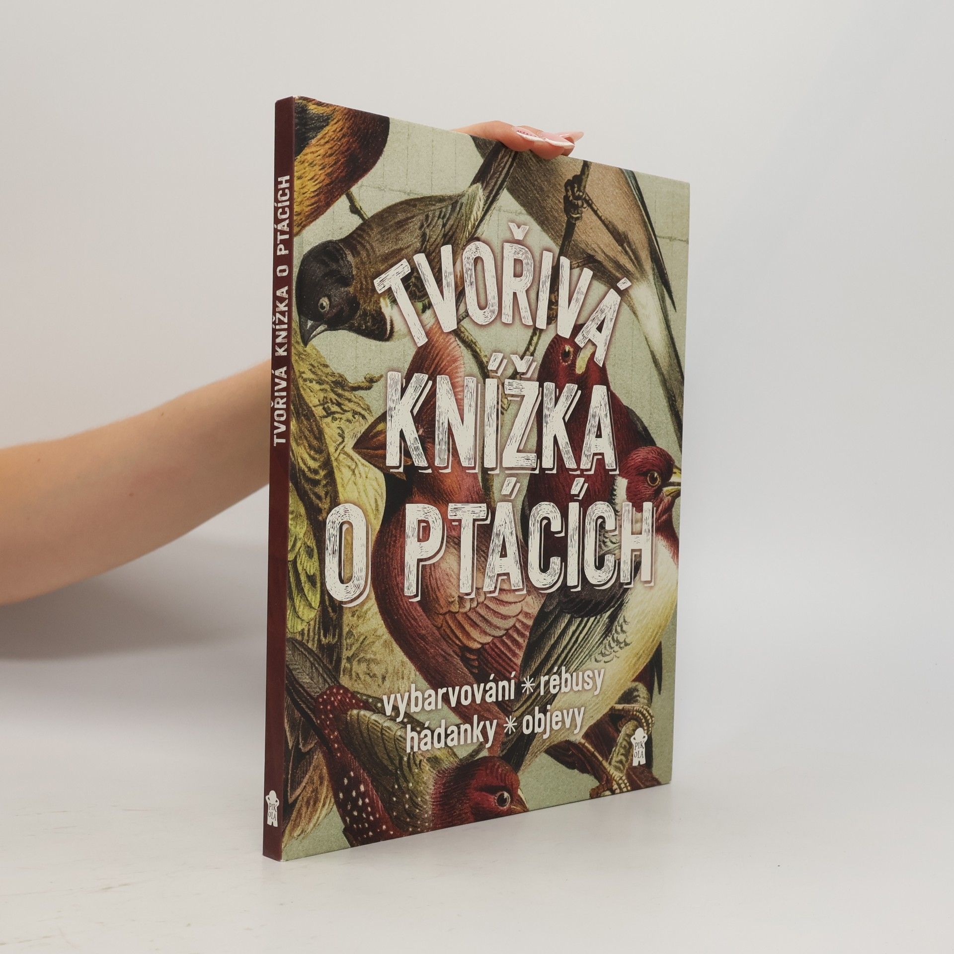 Geert Jan Roebers Tvořivá knížka o ptácích