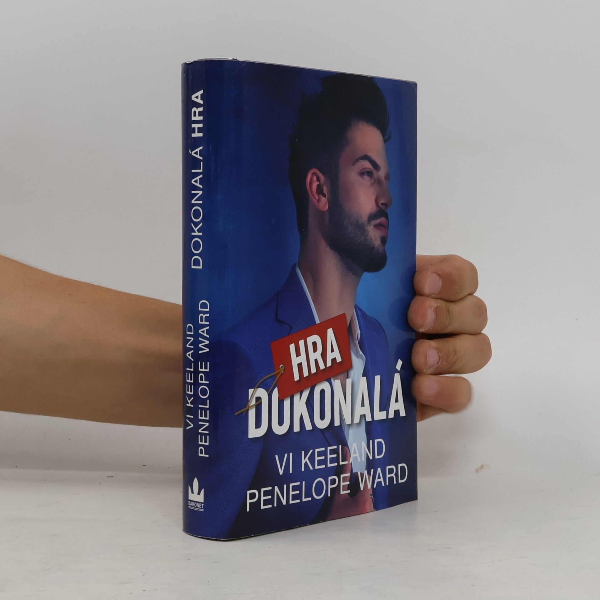 Vi Keeland Dokonalá hra
