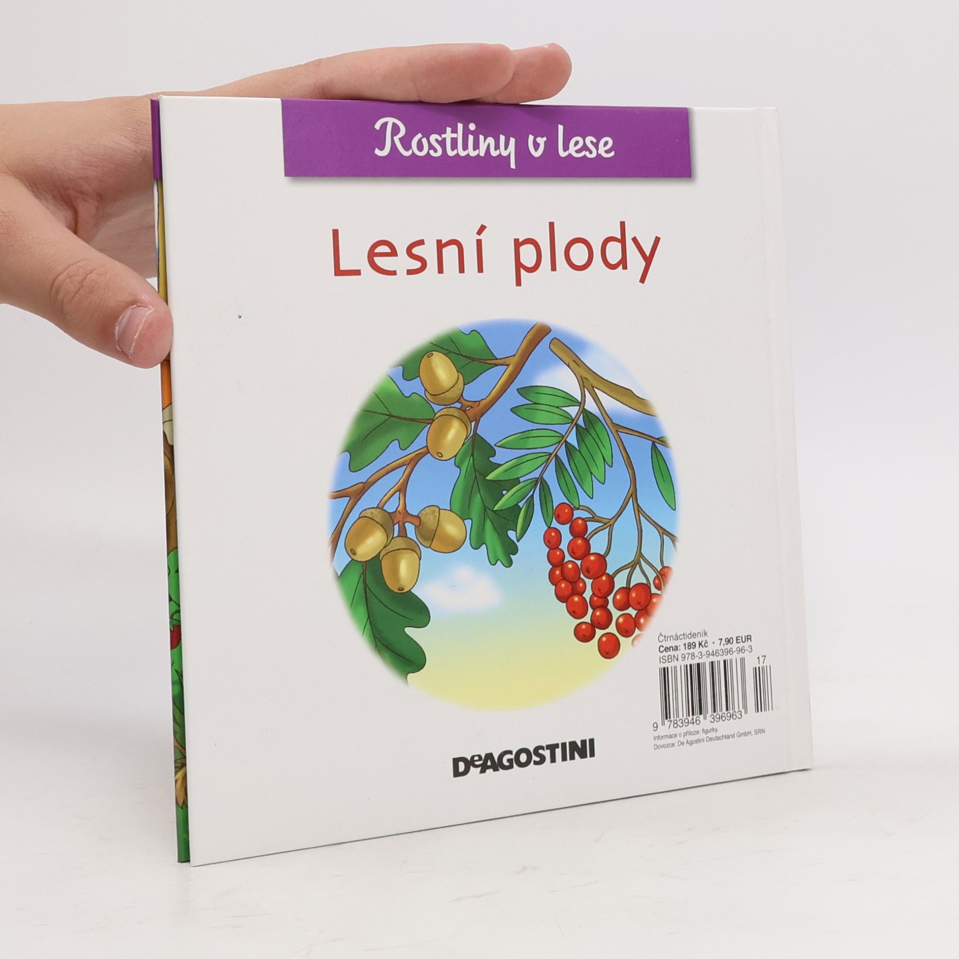 Miluše Rysová Rostliny v lese 44. Lesní plody