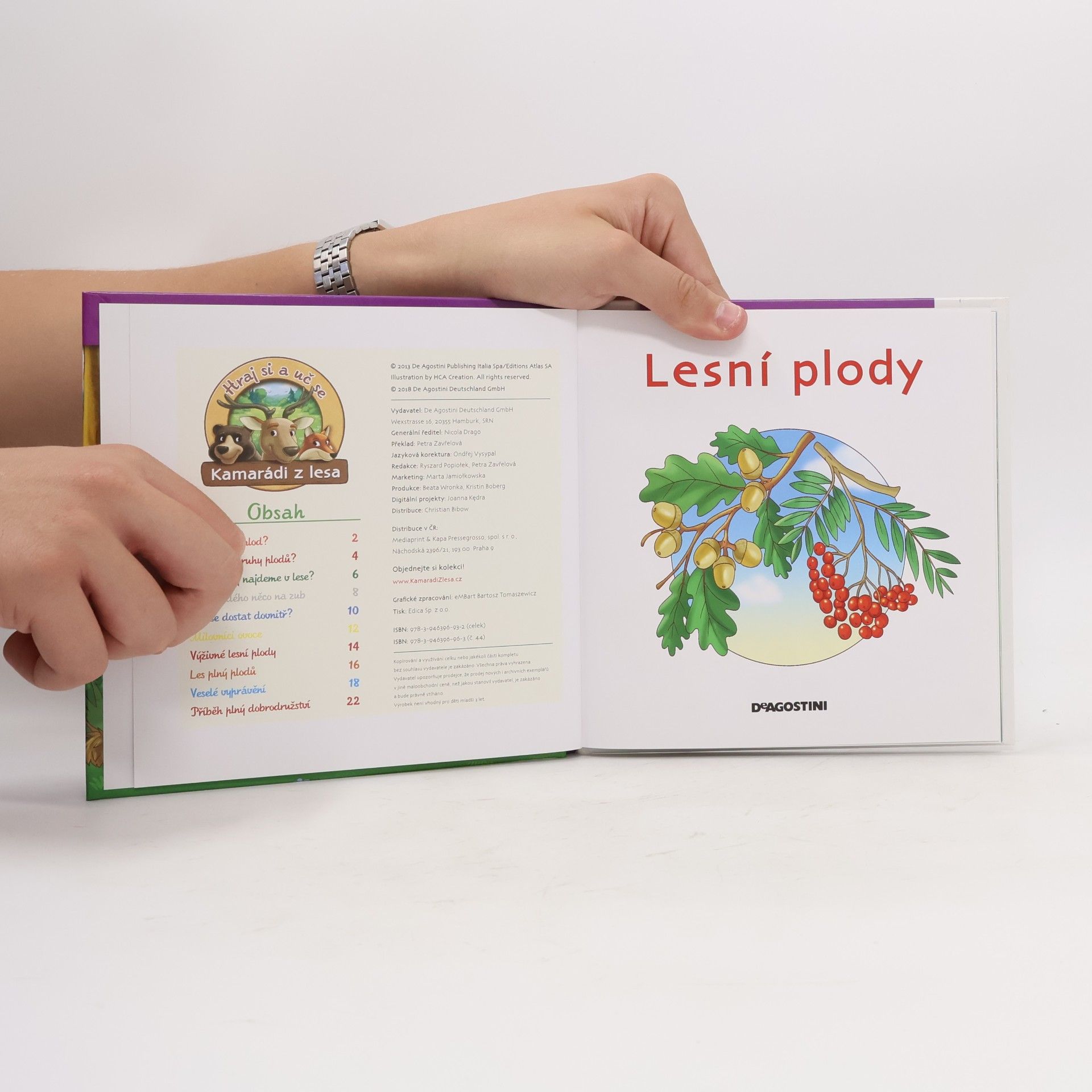 Miluše Rysová Rostliny v lese 44. Lesní plody