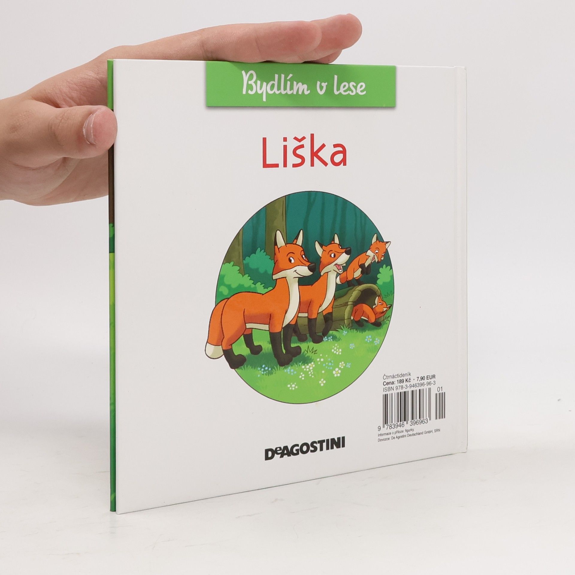 Kolektiv autorů Bydlím v lese 10. Liška