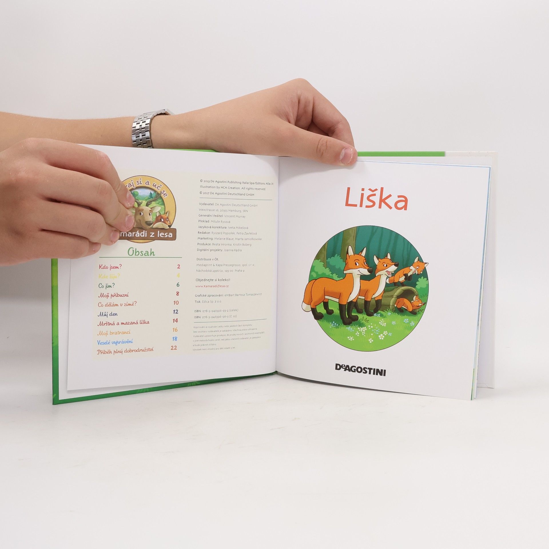 Kolektiv autorů Bydlím v lese 10. Liška