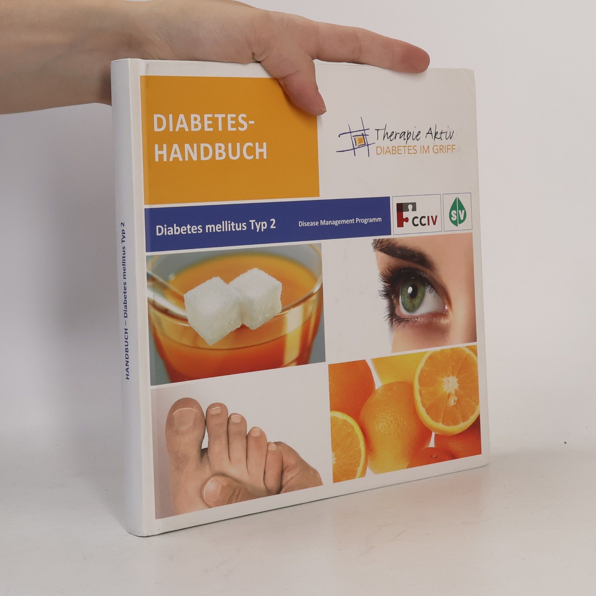Autorenkollektiv Diabetes-Handbuch. Diabetes Mellitus Typ 2