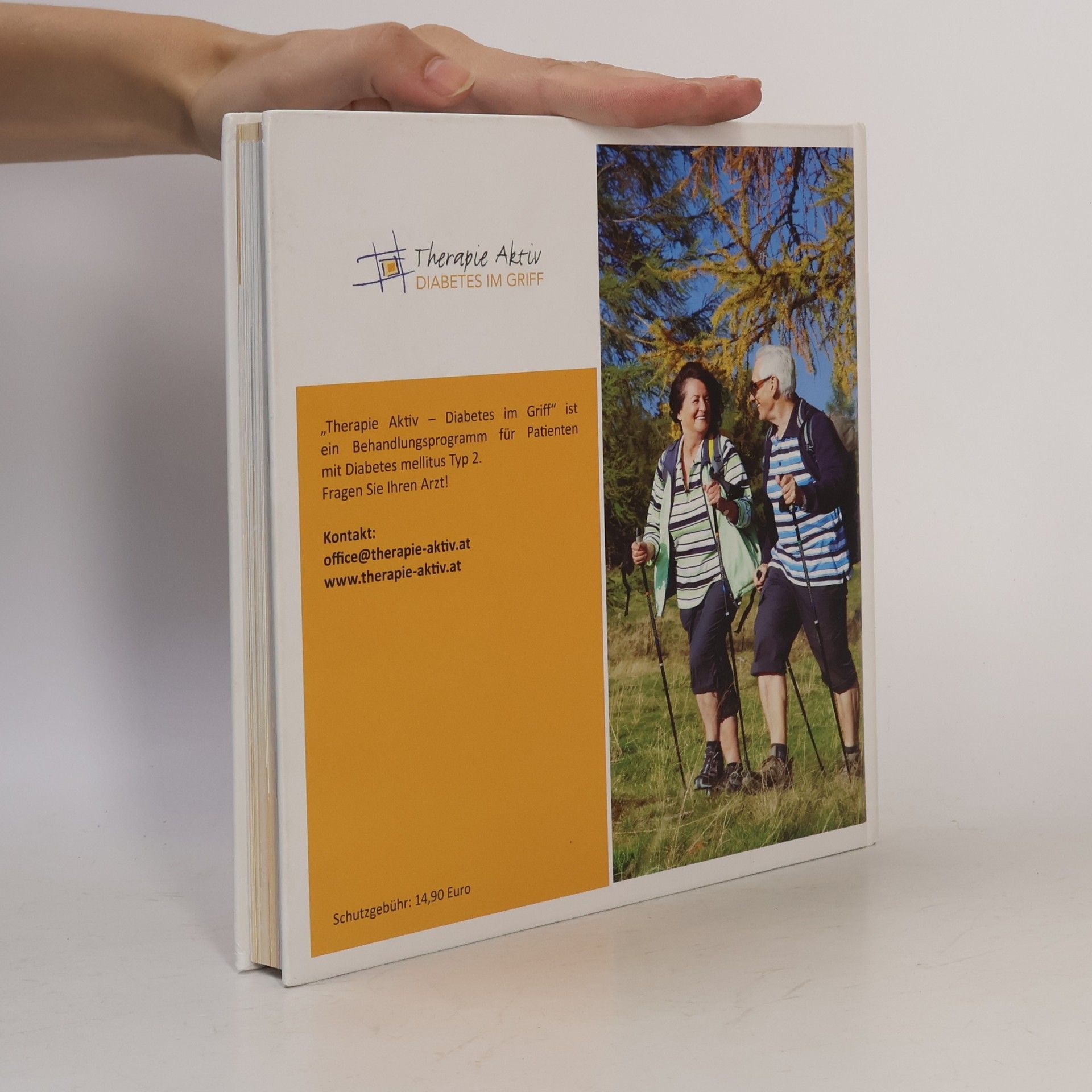 Collectif d'auteurs Diabetes-Handbuch. Diabetes Mellitus Typ 2