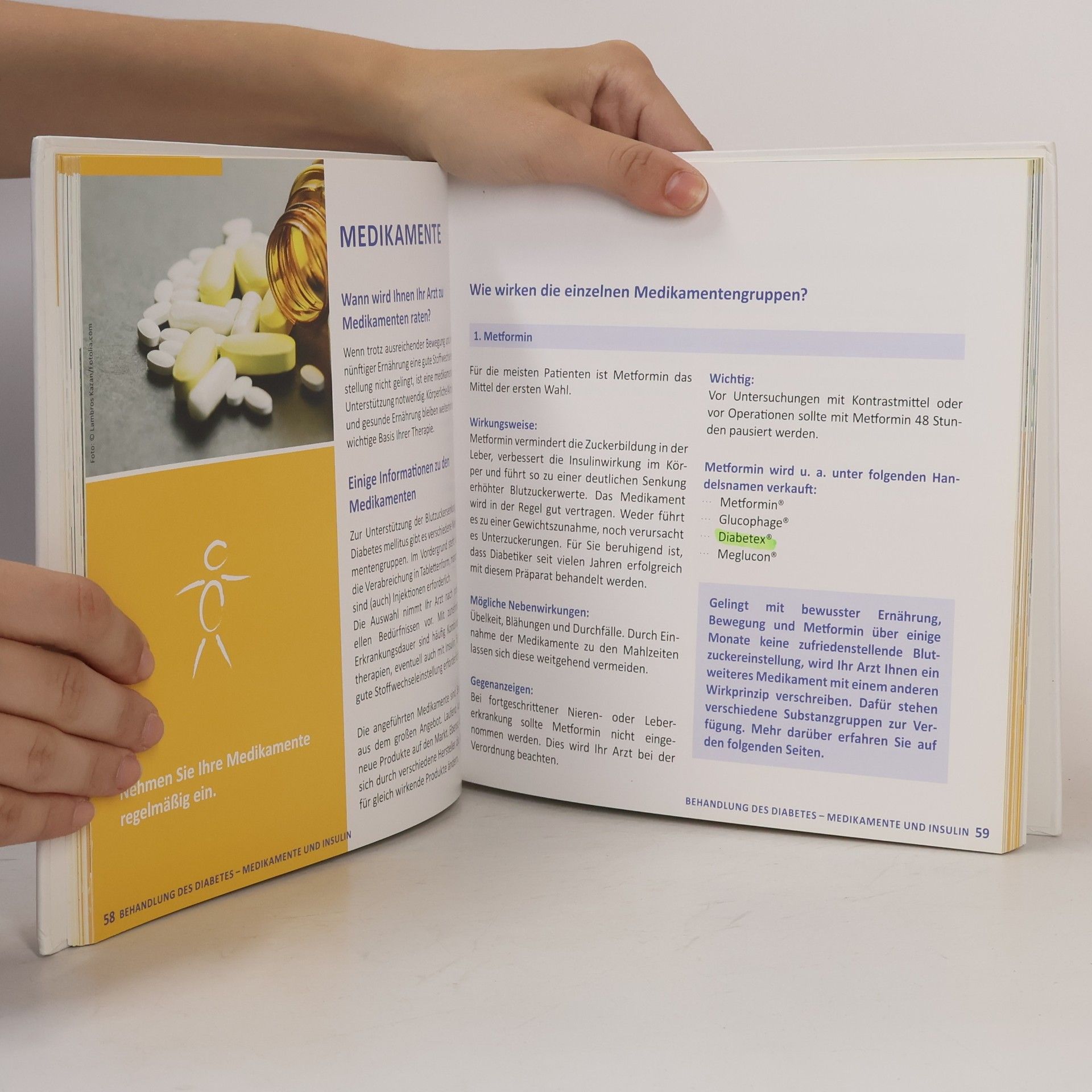 Collectif d'auteurs Diabetes-Handbuch. Diabetes Mellitus Typ 2