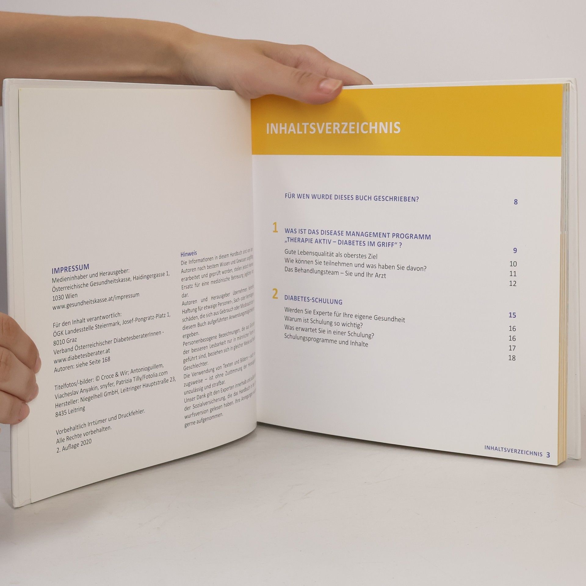 Collectif d'auteurs Diabetes-Handbuch. Diabetes Mellitus Typ 2