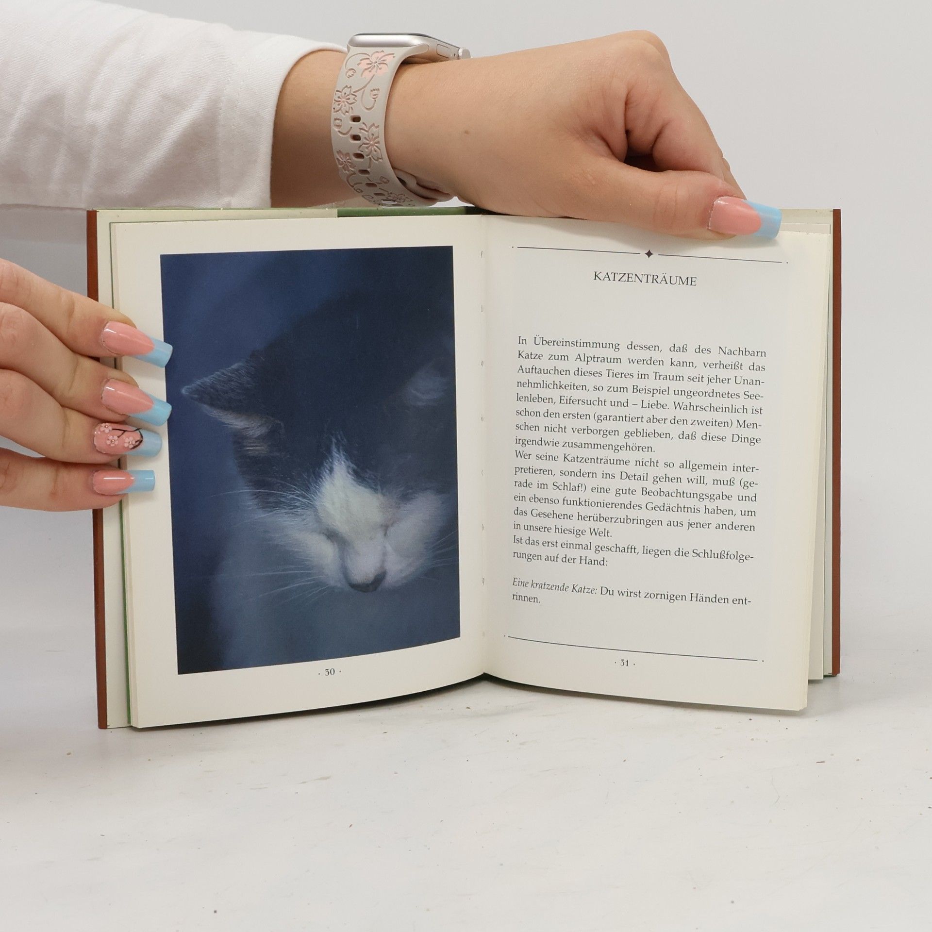 Kolektiv autorů Geliebte Katzen