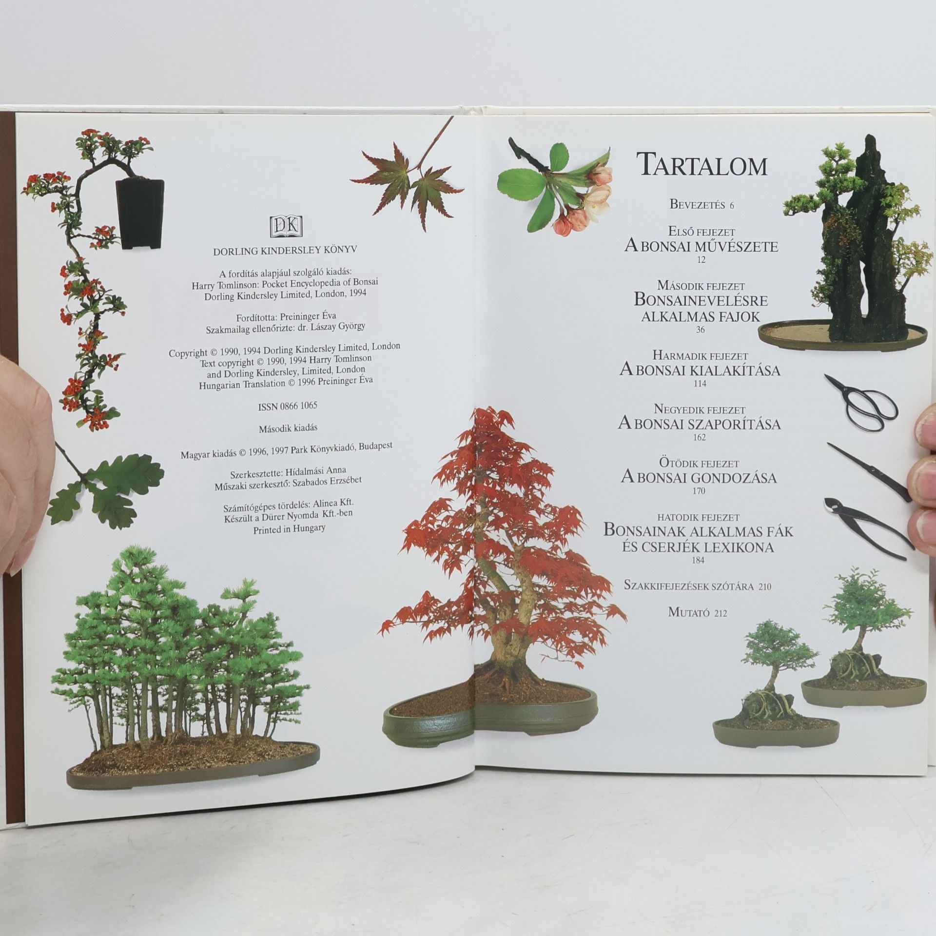 Harry Tomlinson Bonsai