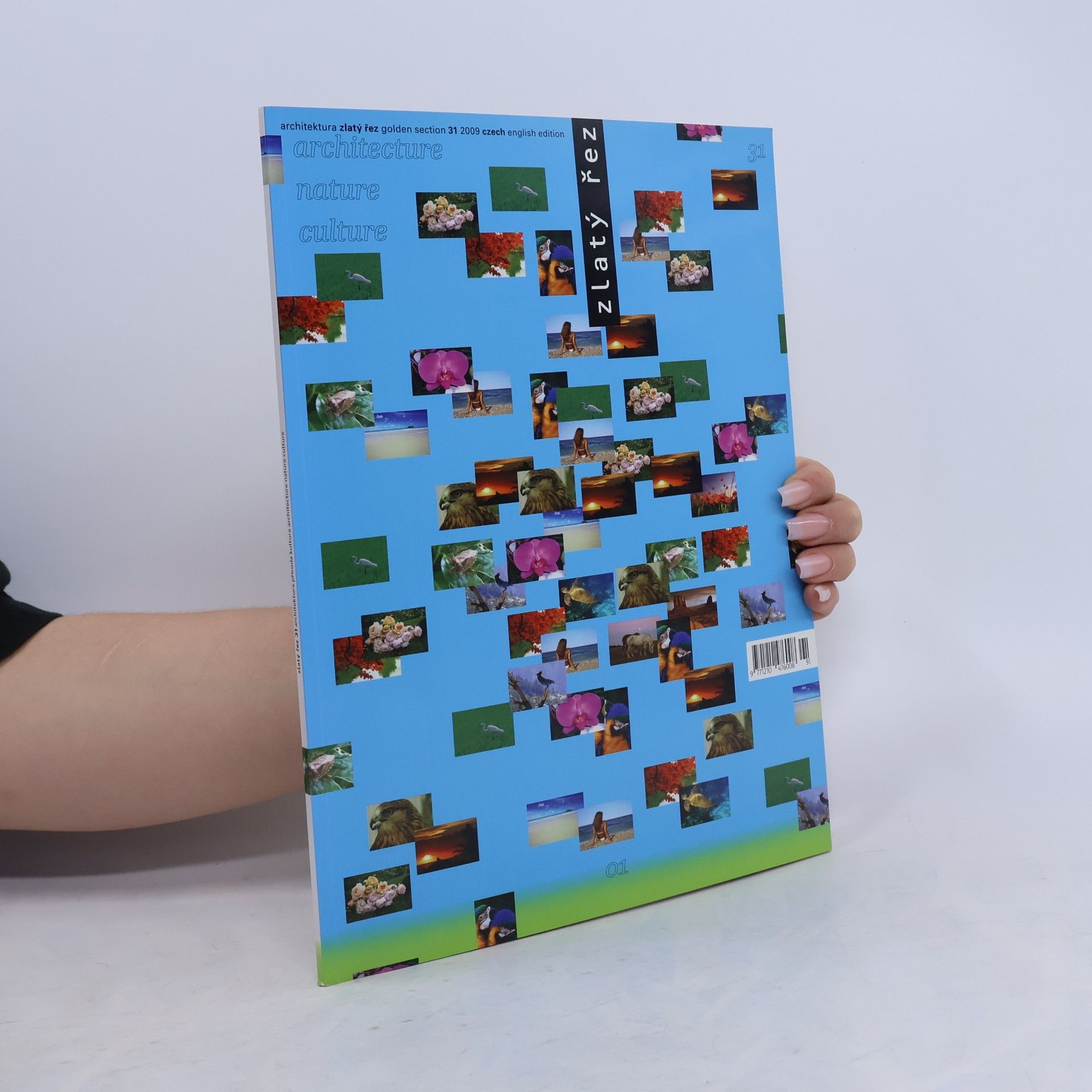 Autorenkollektiv Zlatý řez 31/2009