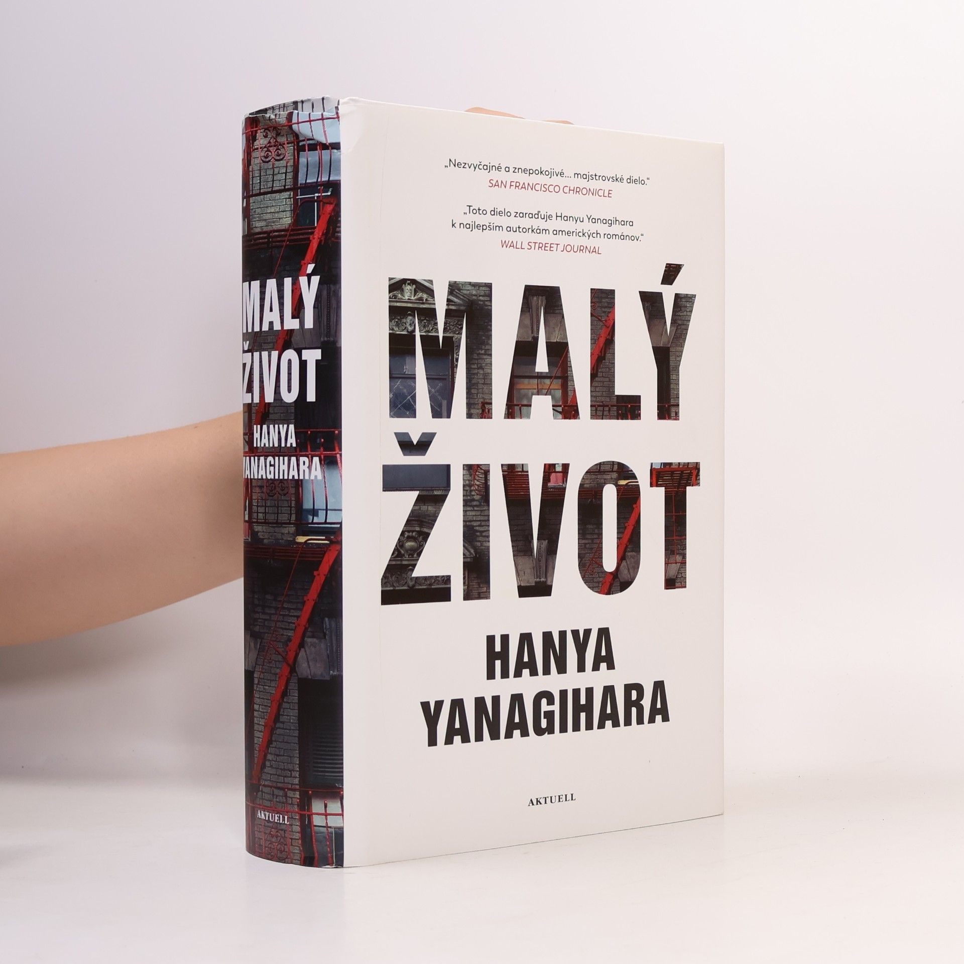 Hanya Yanagihara Malý život