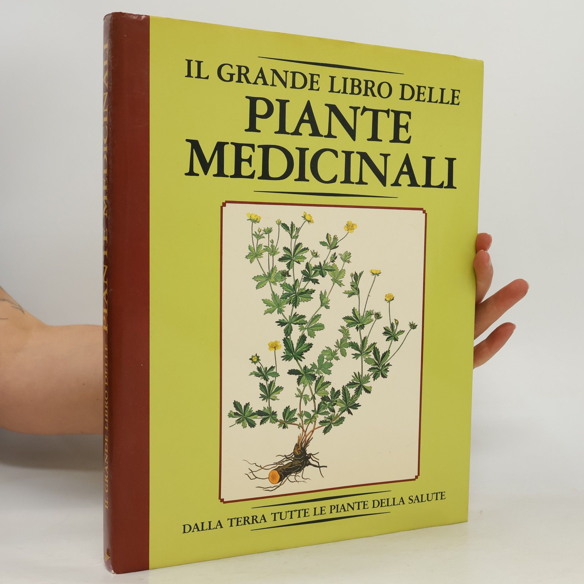 Autores varios Il grande libro delle Piante medicinali