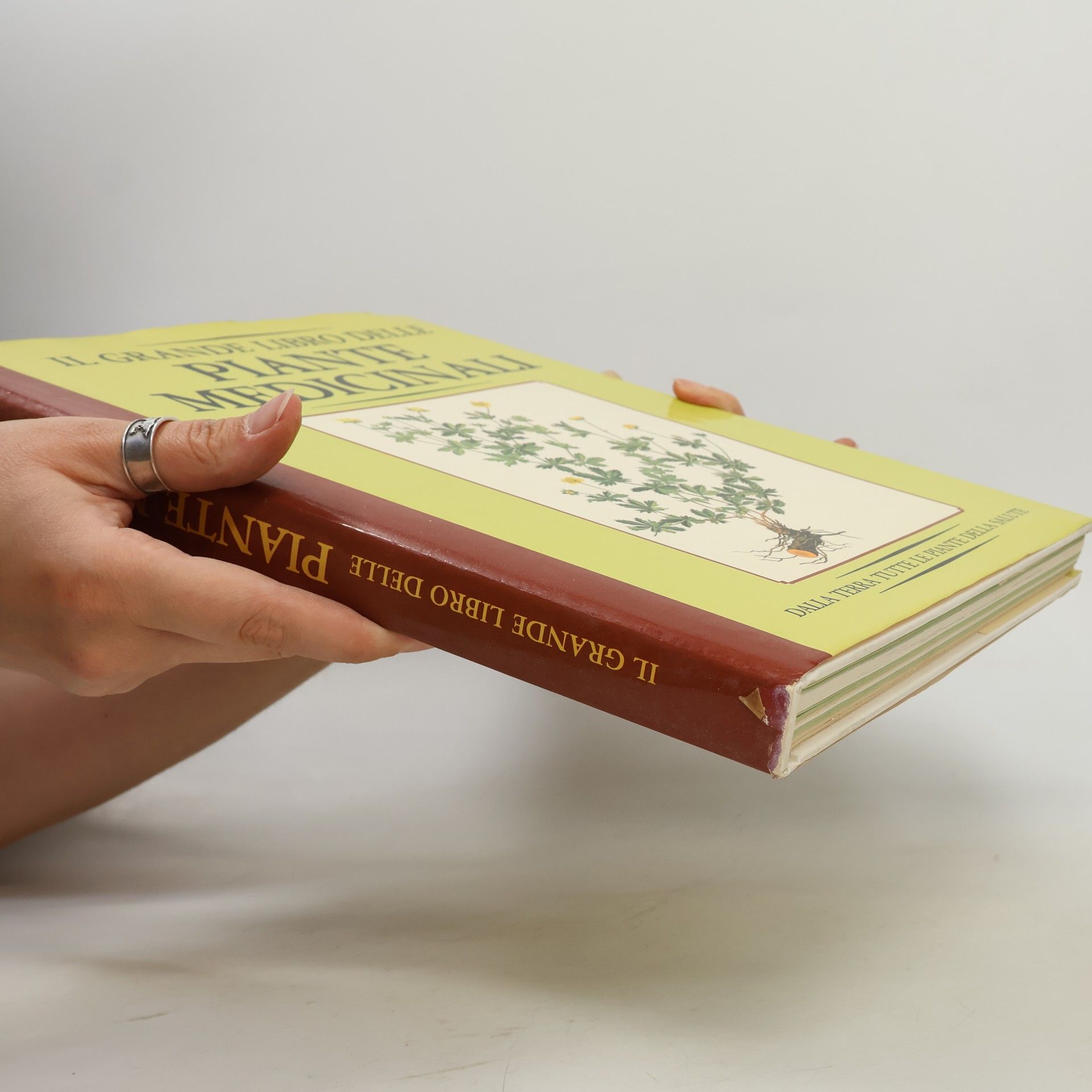 Autores varios Il grande libro delle Piante medicinali