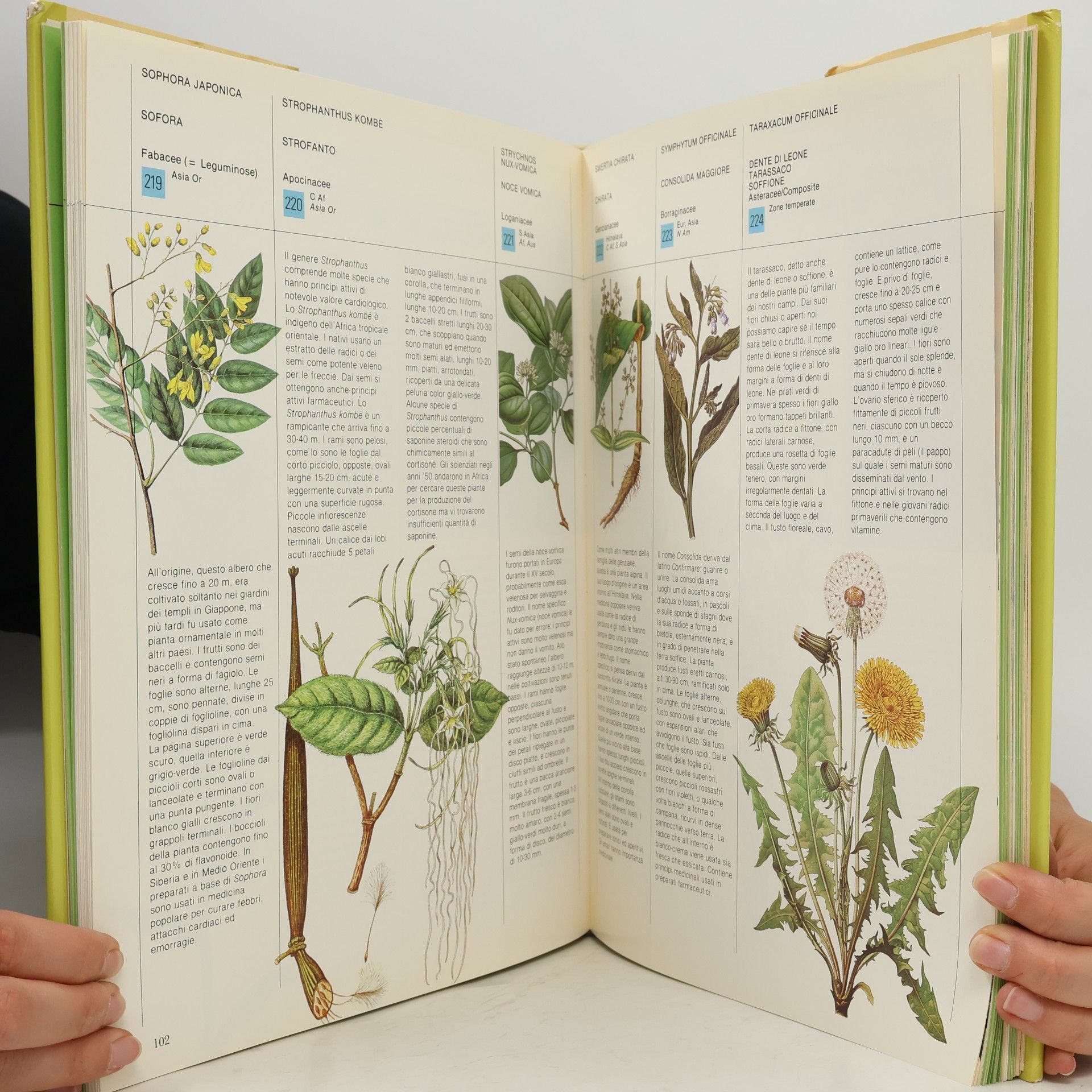 Autores varios Il grande libro delle Piante medicinali