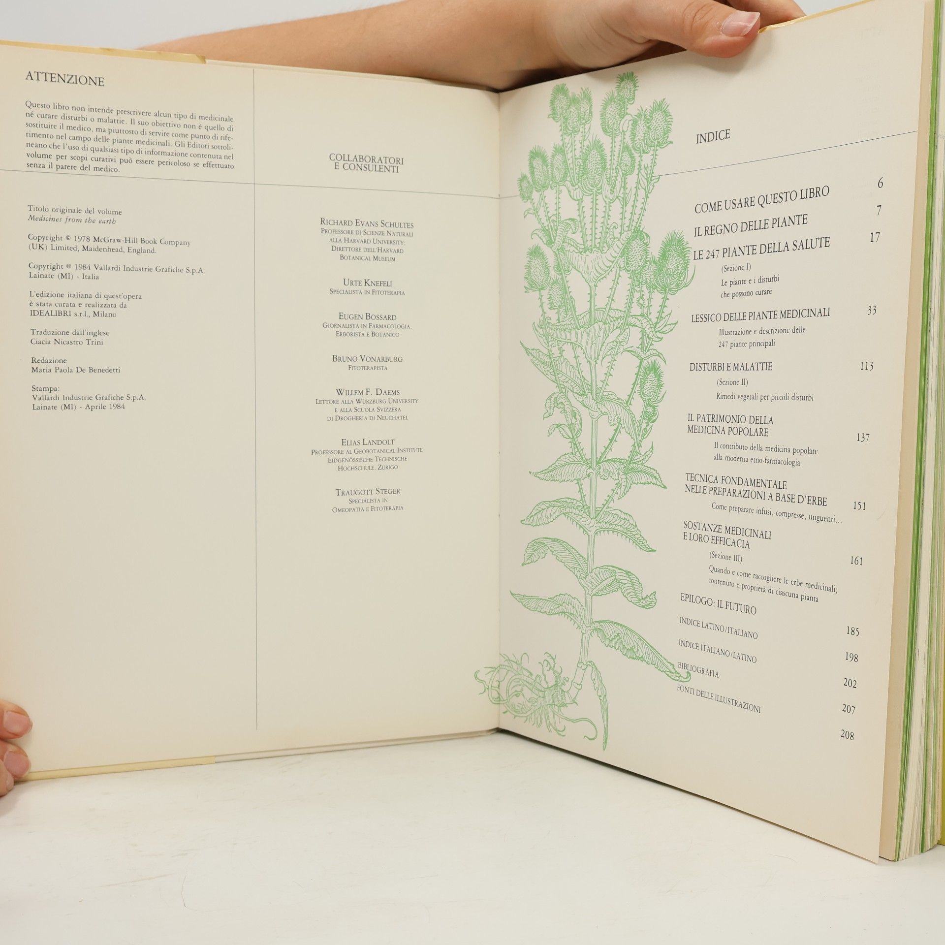 Autores varios Il grande libro delle Piante medicinali