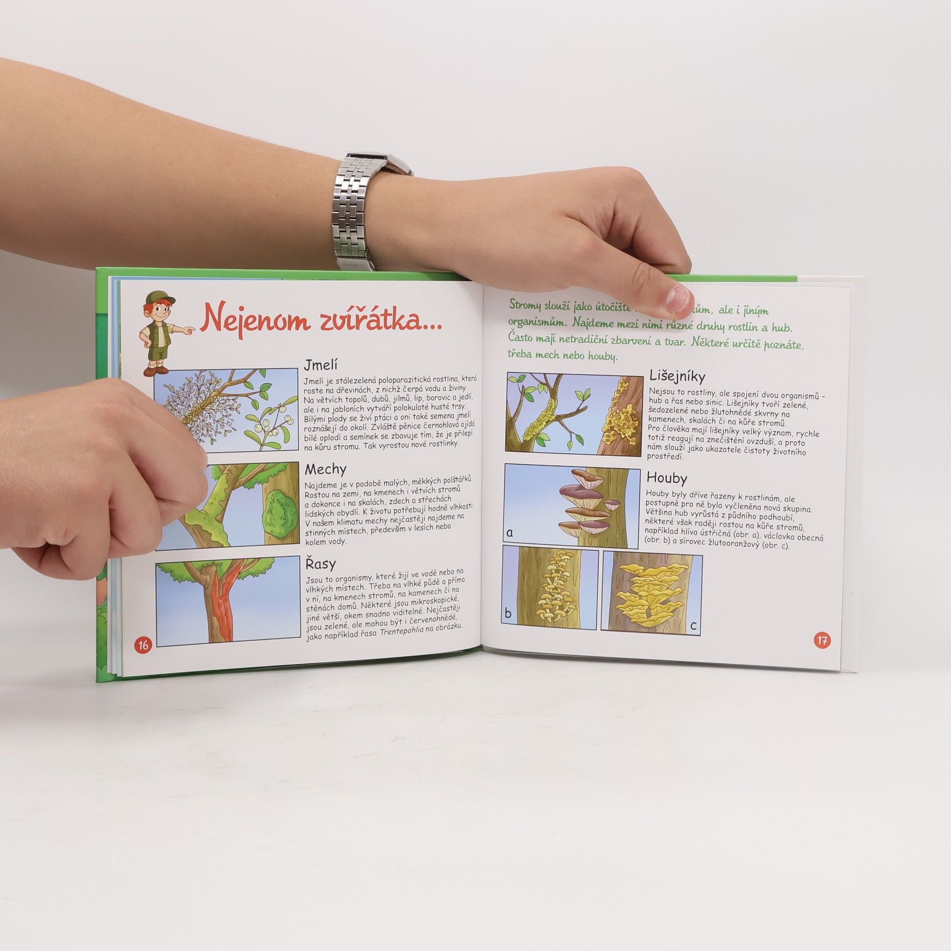 Autorenkollektiv Bydlím v lese 38. Obyvatelé stromů