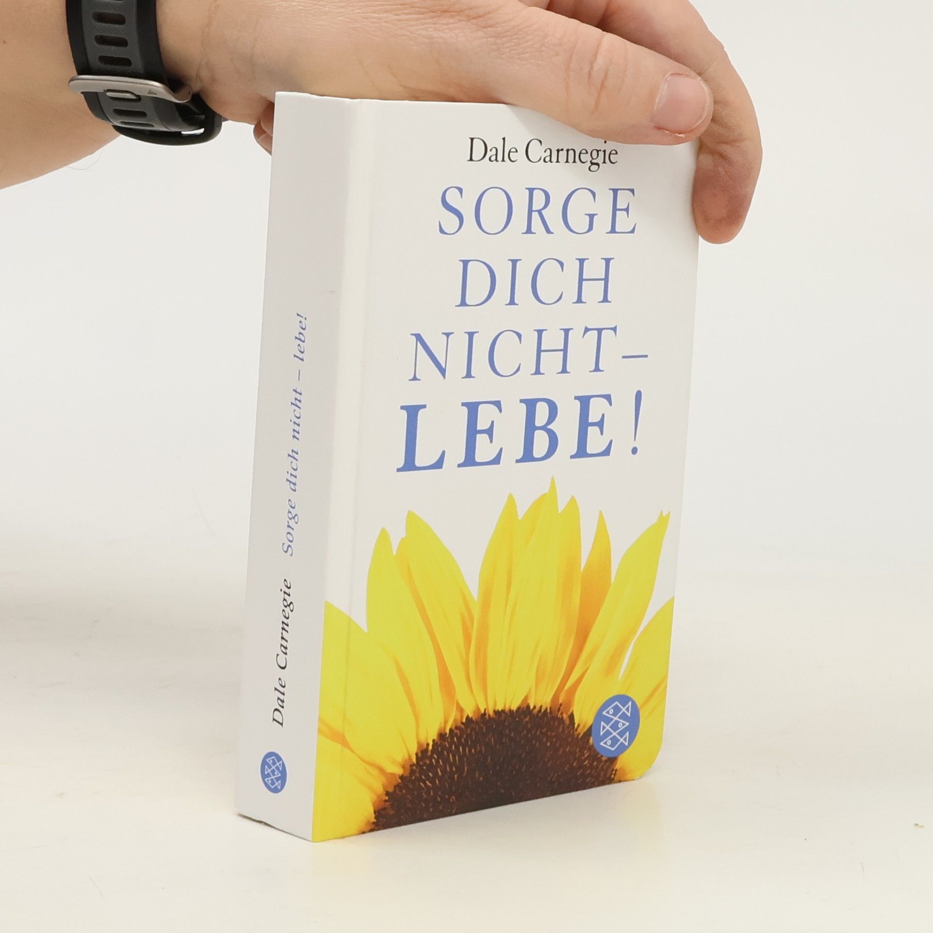Dale Carnegie Sorge dich nicht - lebe!