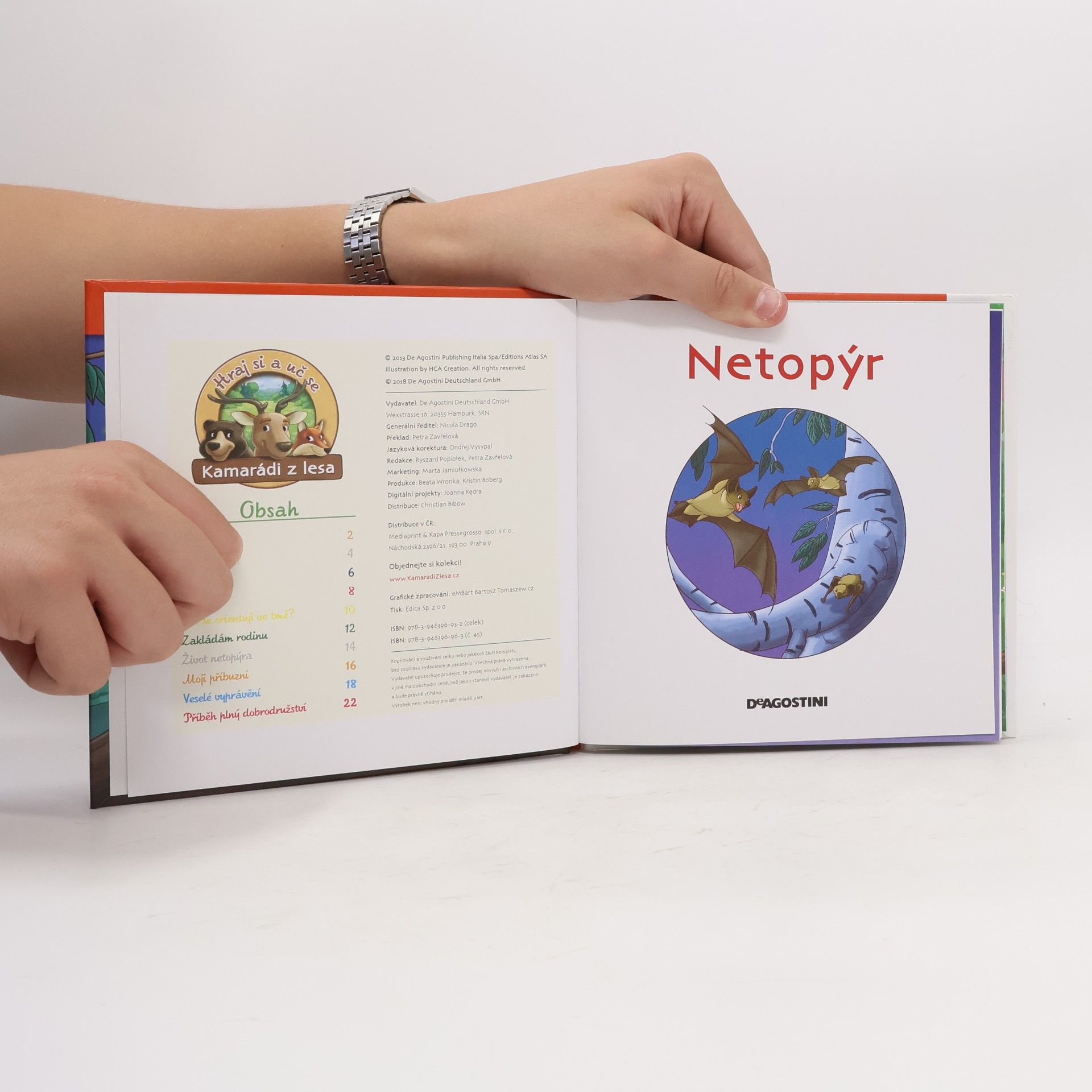 Kolektív autorov Na okraji lesa 45. Netopýr