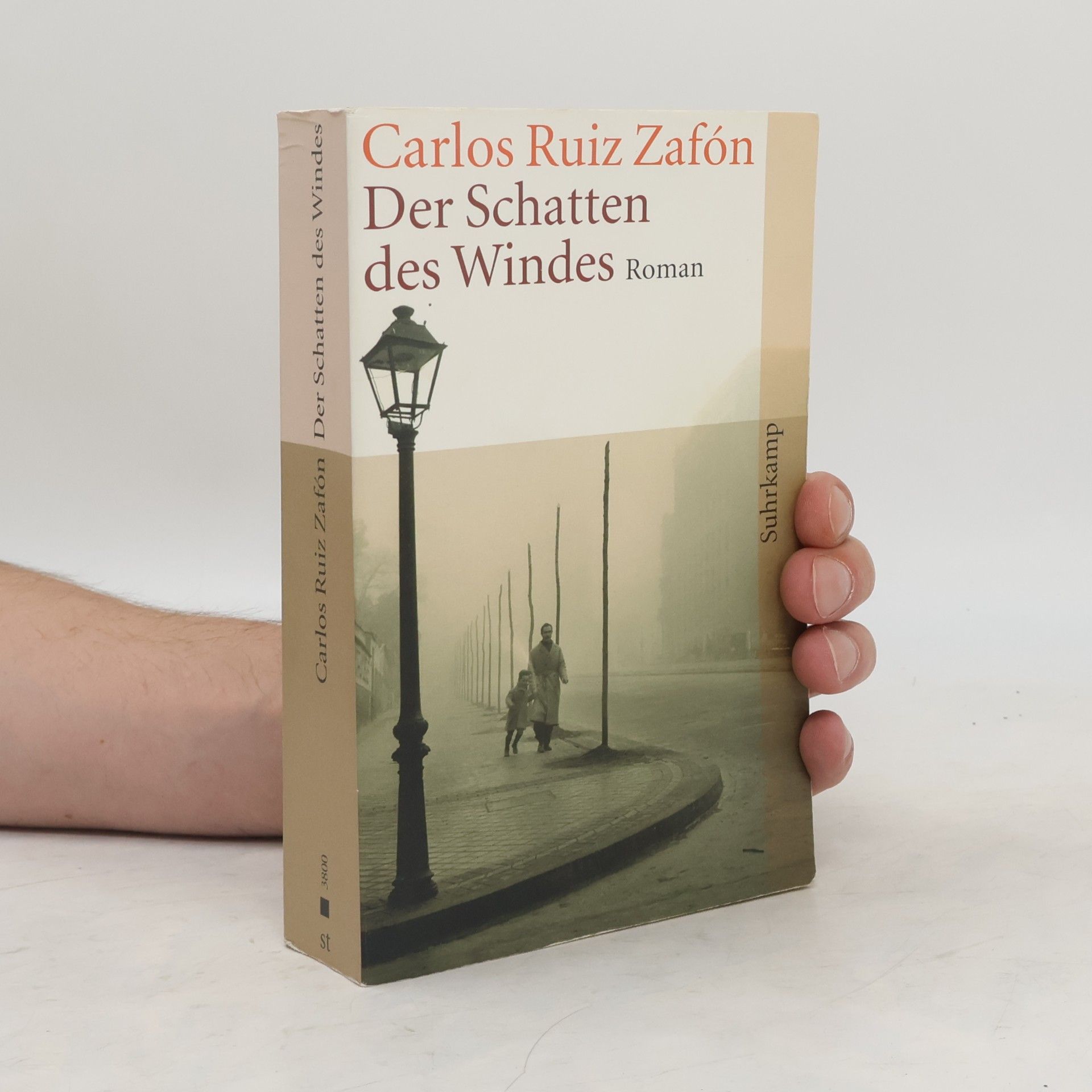 Carlos Ruiz Zafón Der Schatten des Windes