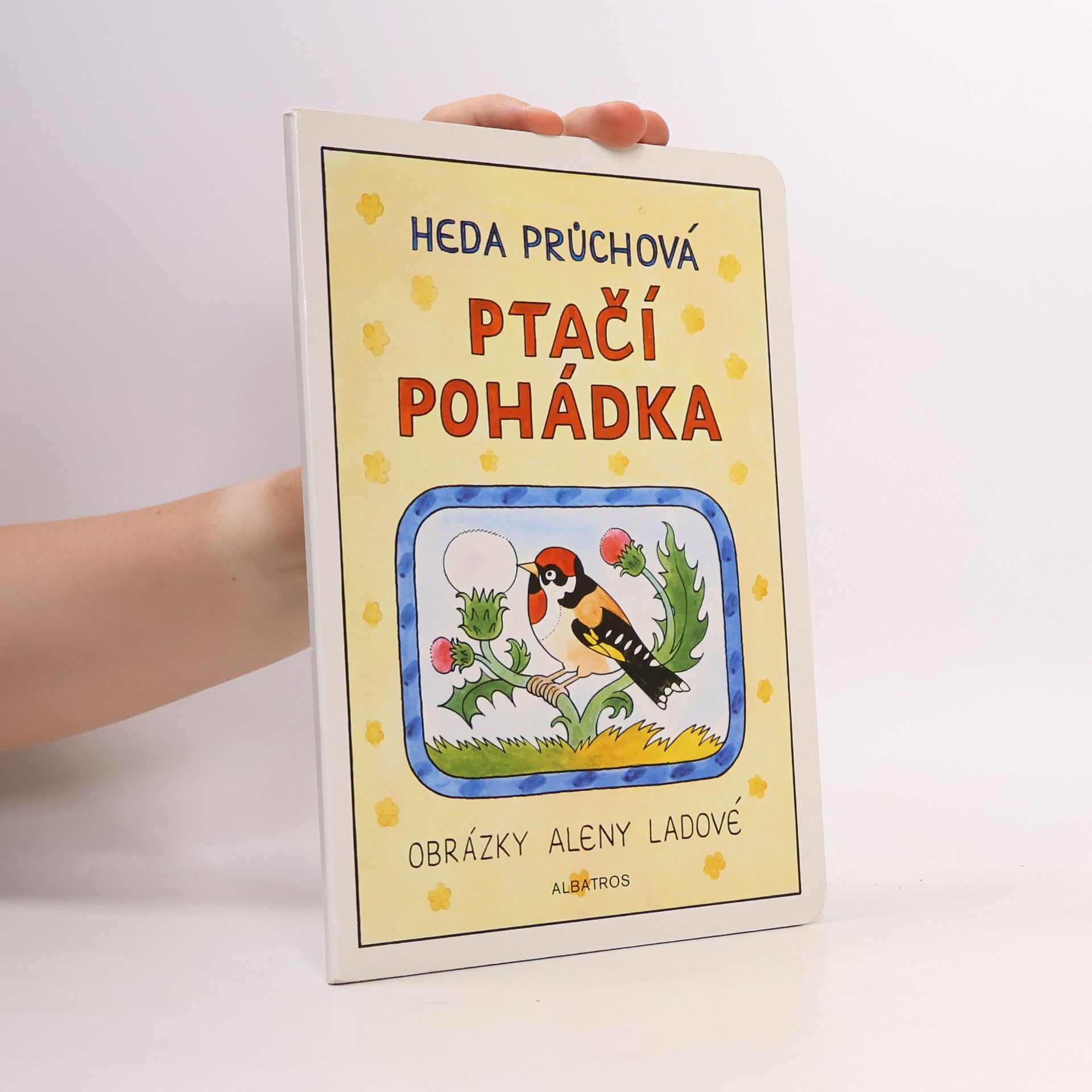 Ptačí pohádka