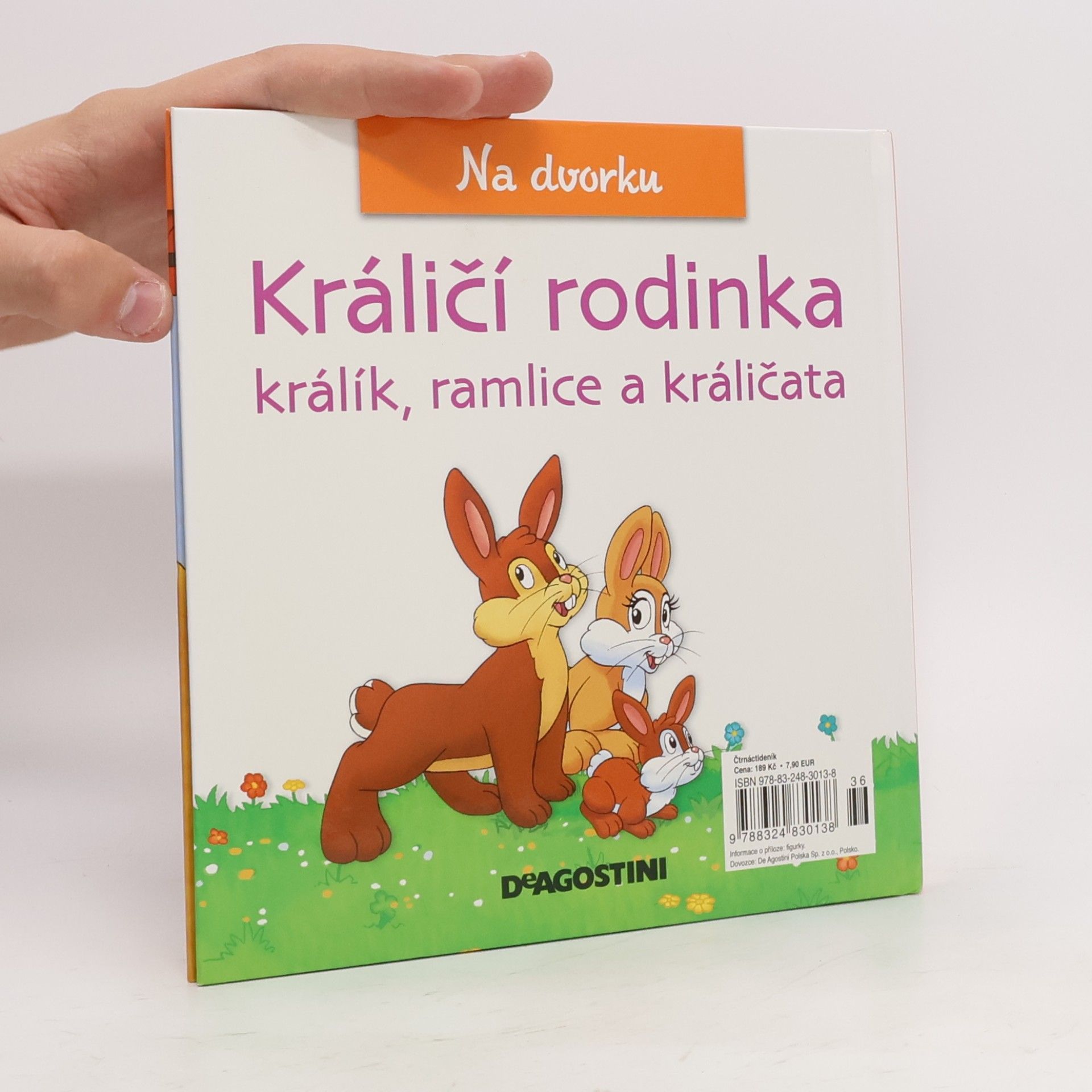 Auteurscollectief Na dvorku 41. Králičí rodinka