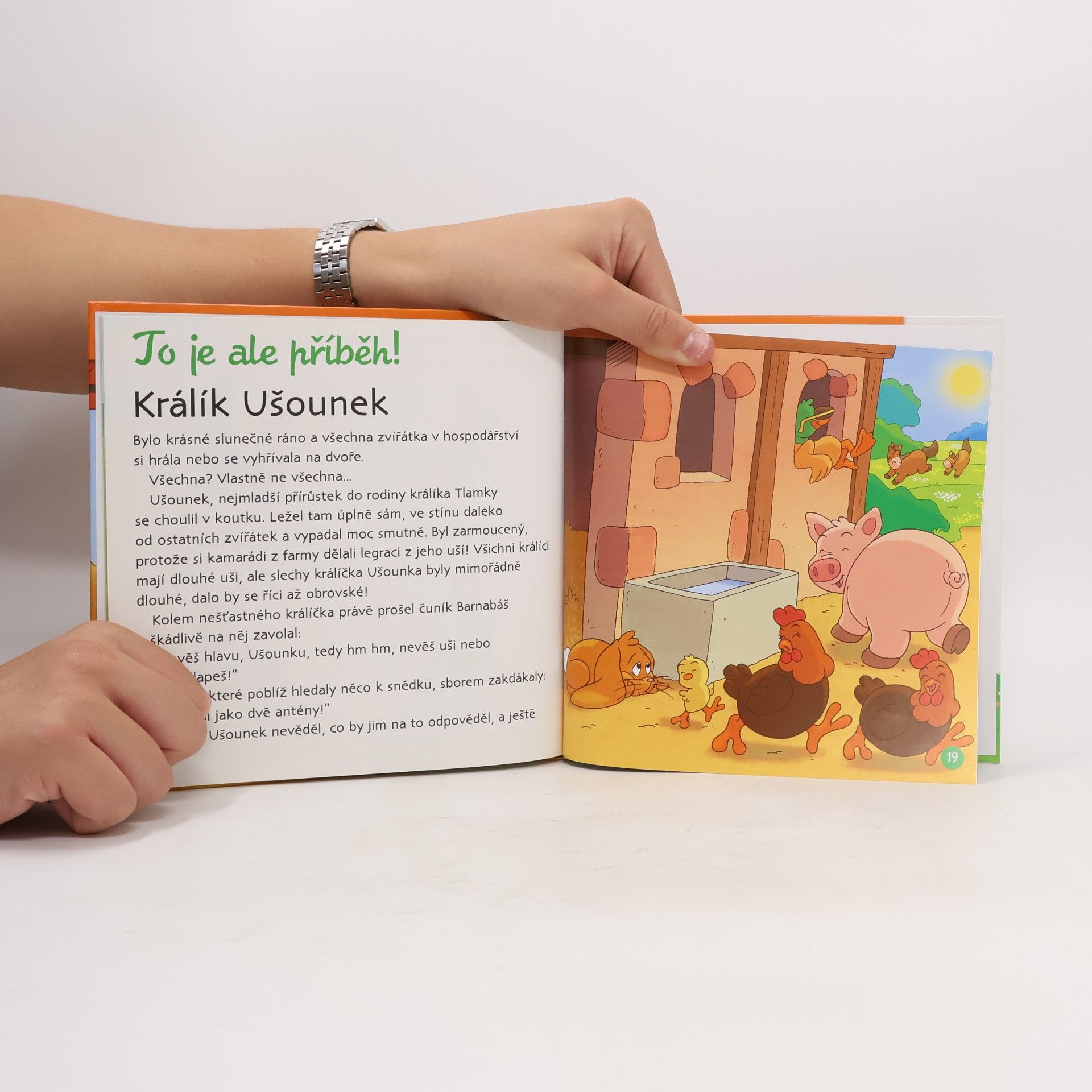 Auteurscollectief Na dvorku 41. Králičí rodinka