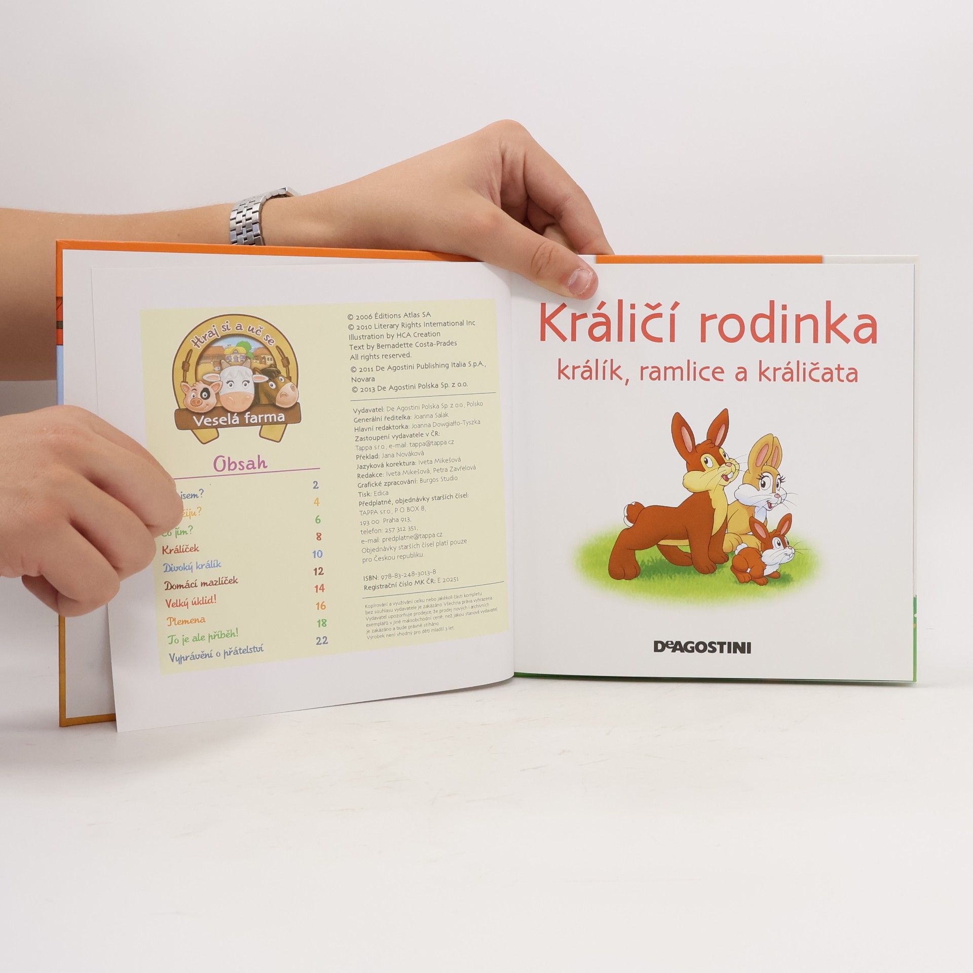 Auteurscollectief Na dvorku 41. Králičí rodinka