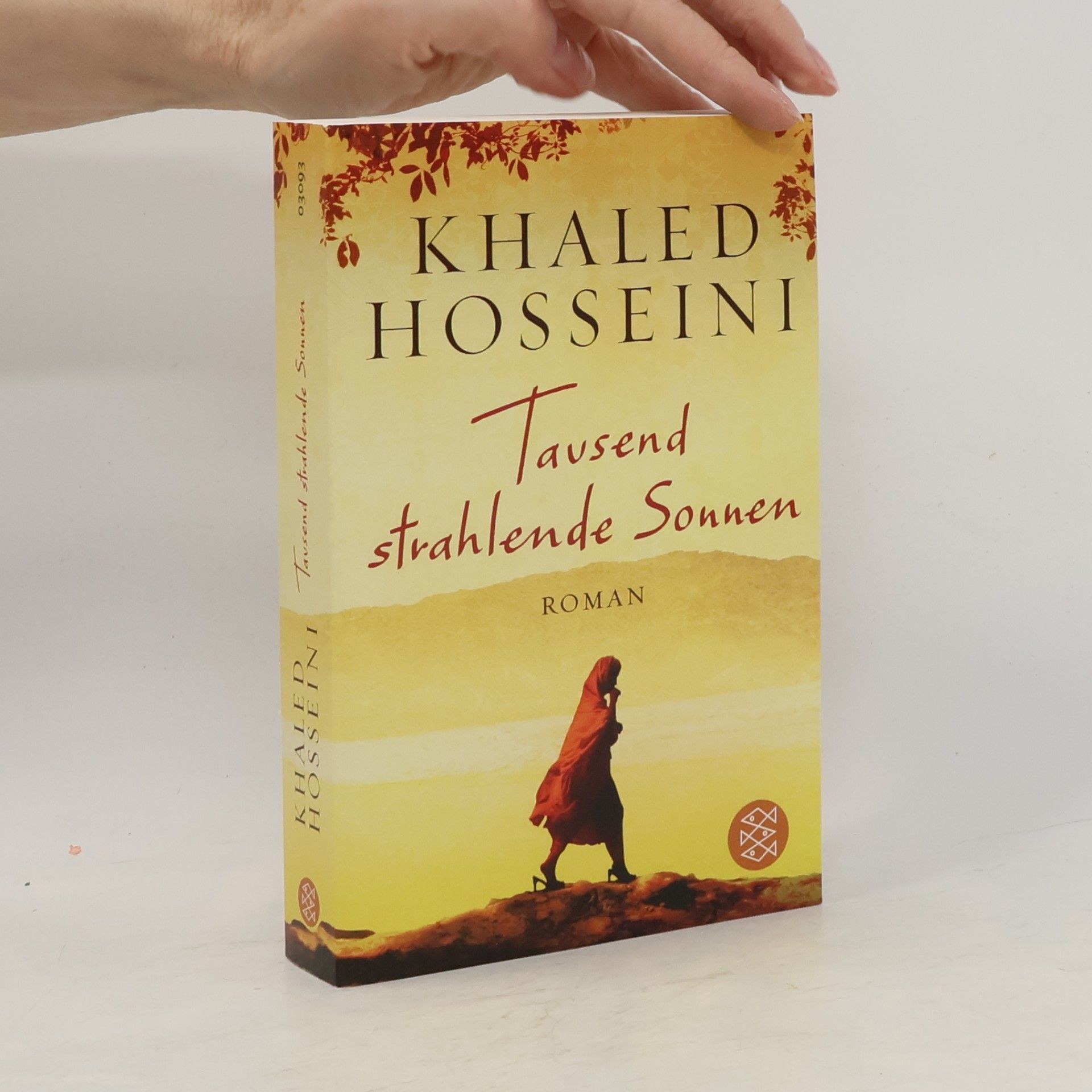 Khaled Hosseini Tausend strahlende Sonnen