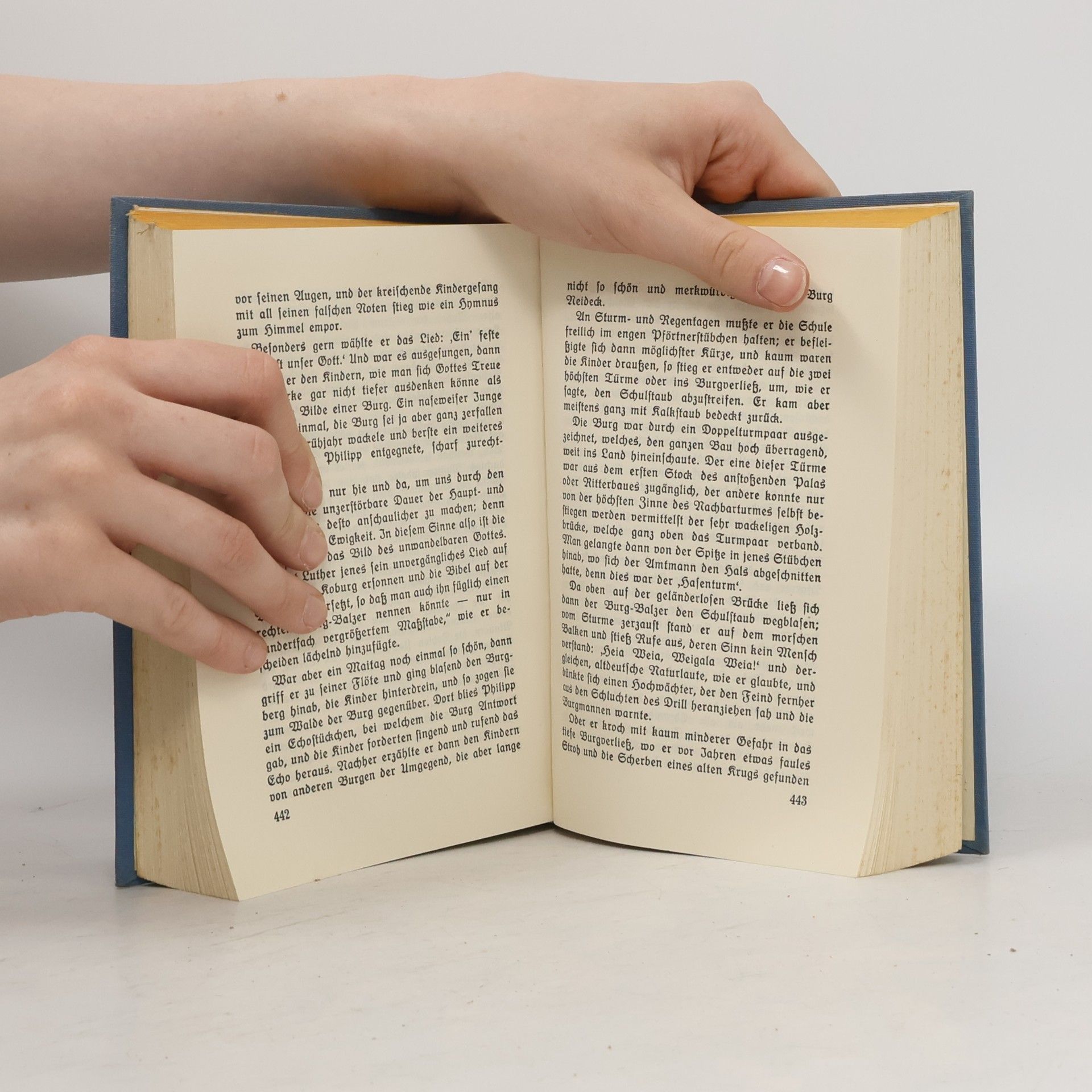W. H. Riehl Kulturgeschichtliche Novellen aus tausend Jahren deutscher Geschichte