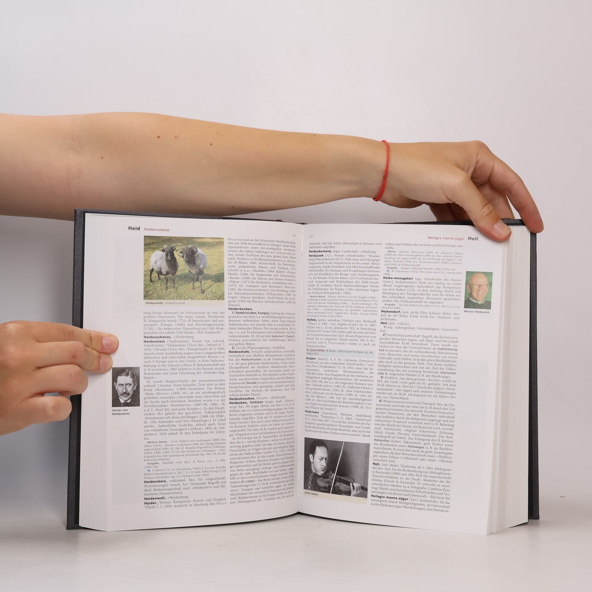Annette Zwahr Brockhaus Enzyklopädie 12