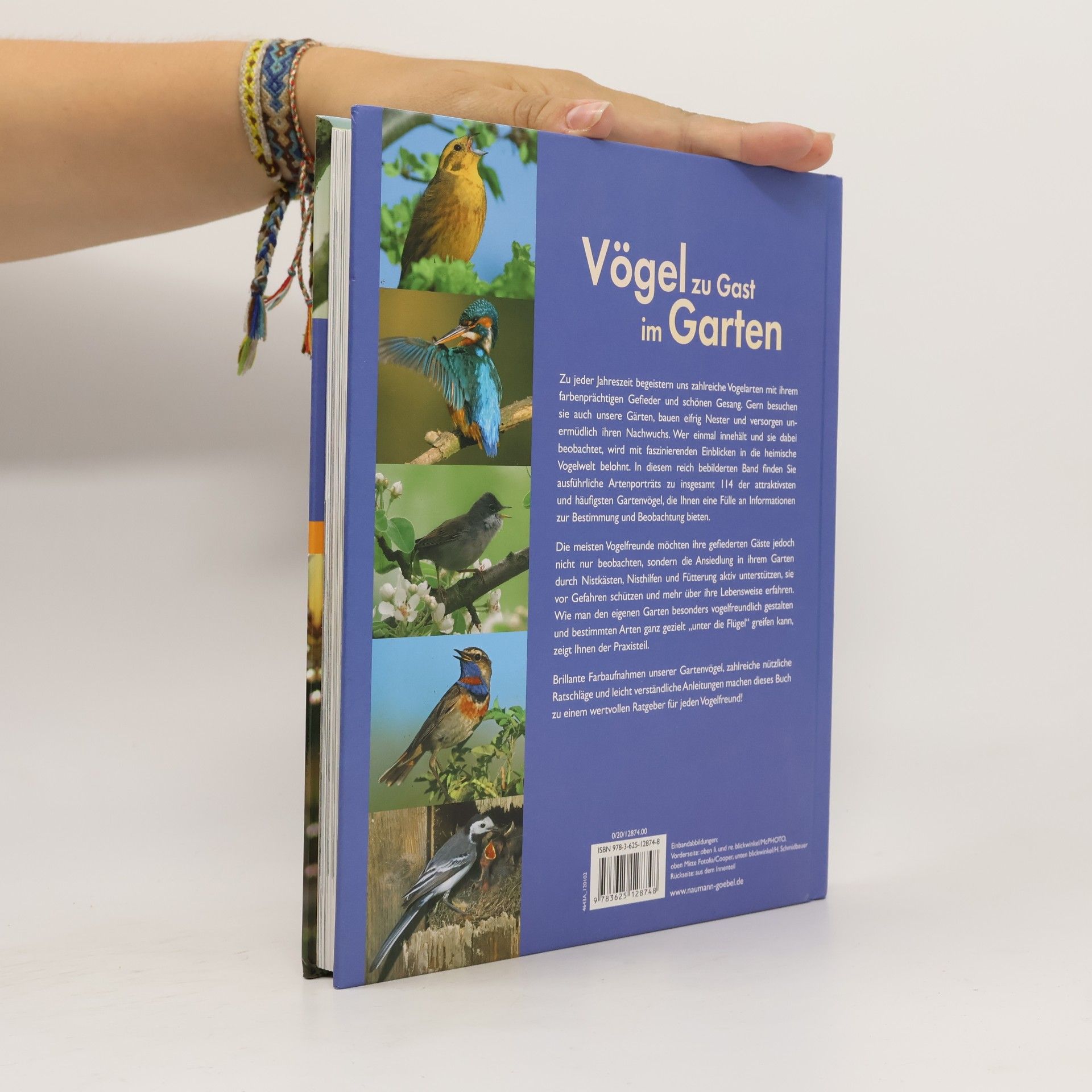 Axel Gutjahr Vögel zu Gast im Garten
