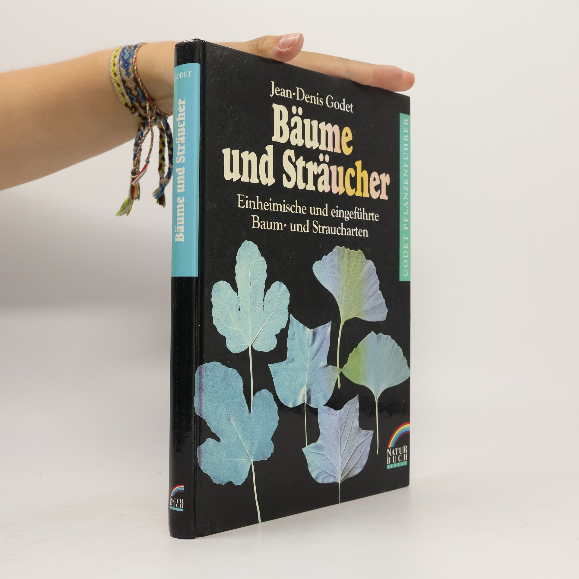 Jean Denis Godet Bäume und Sträucher